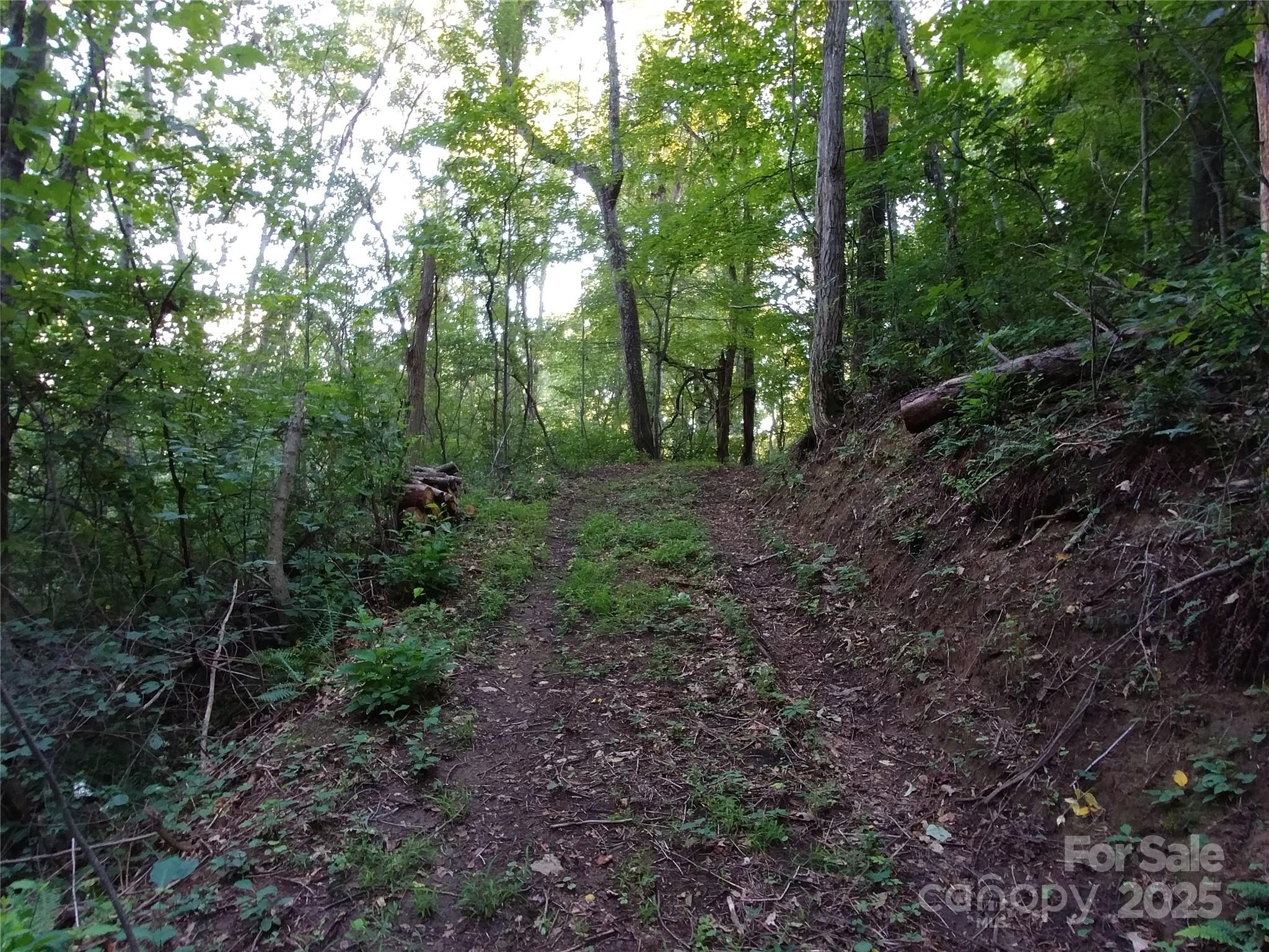 2100 Chambers Mountain Road Property Photo 12