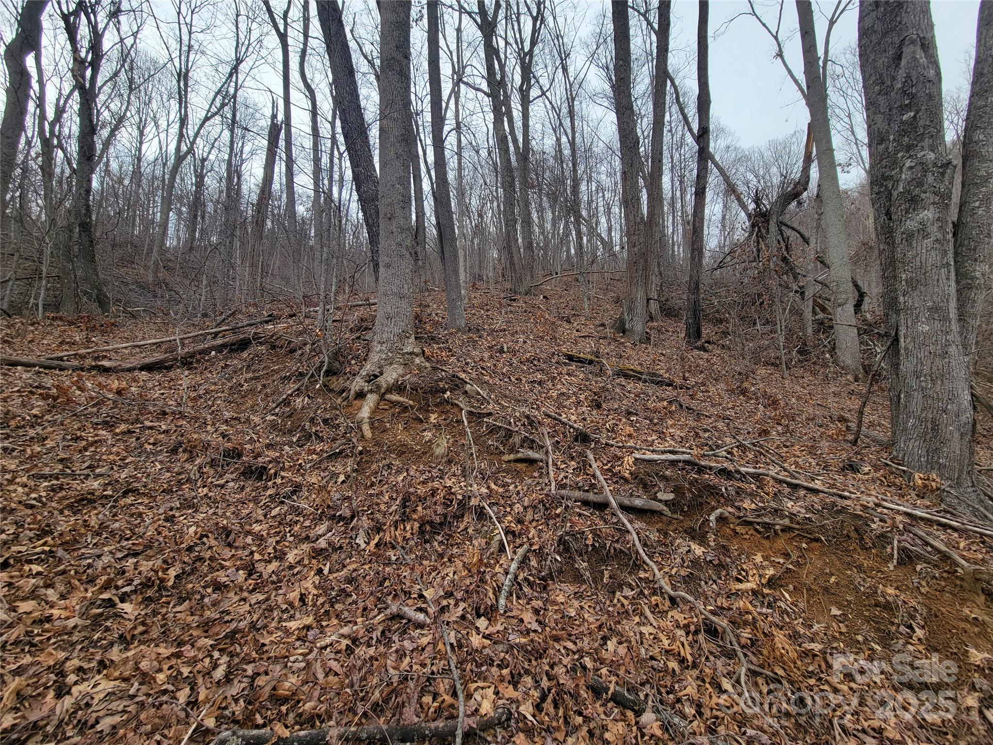 2100 Chambers Mountain Road Property Photo 14