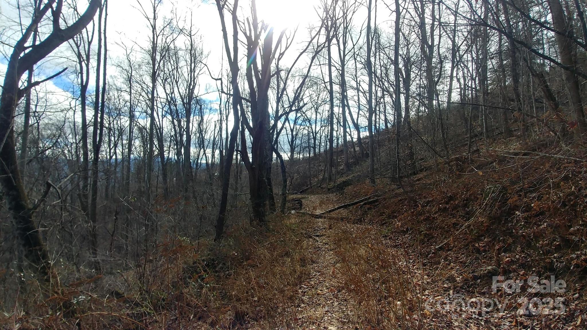 2100 Chambers Mountain Road Property Photo 15
