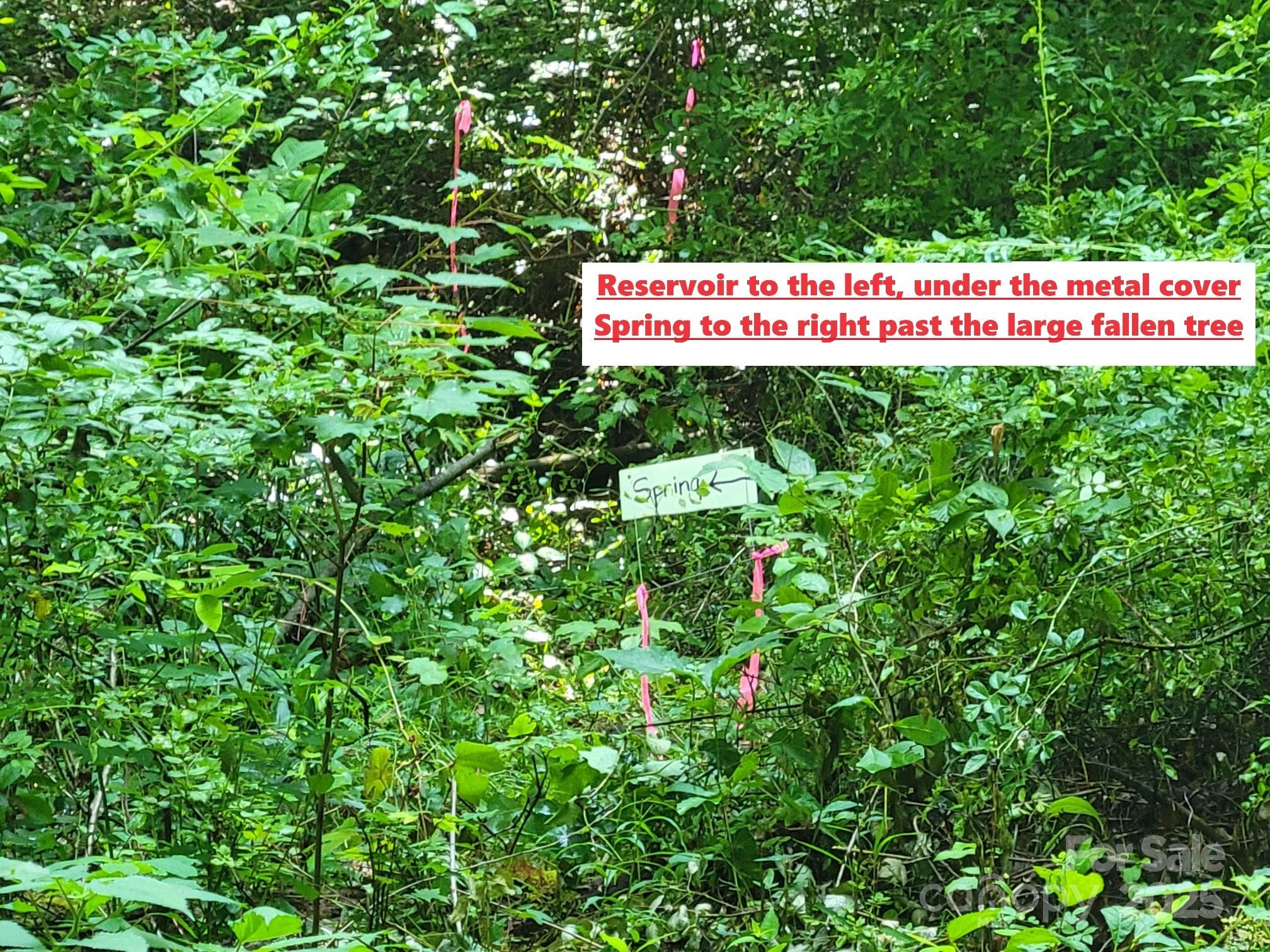 2100 Chambers Mountain Road Property Photo 19
