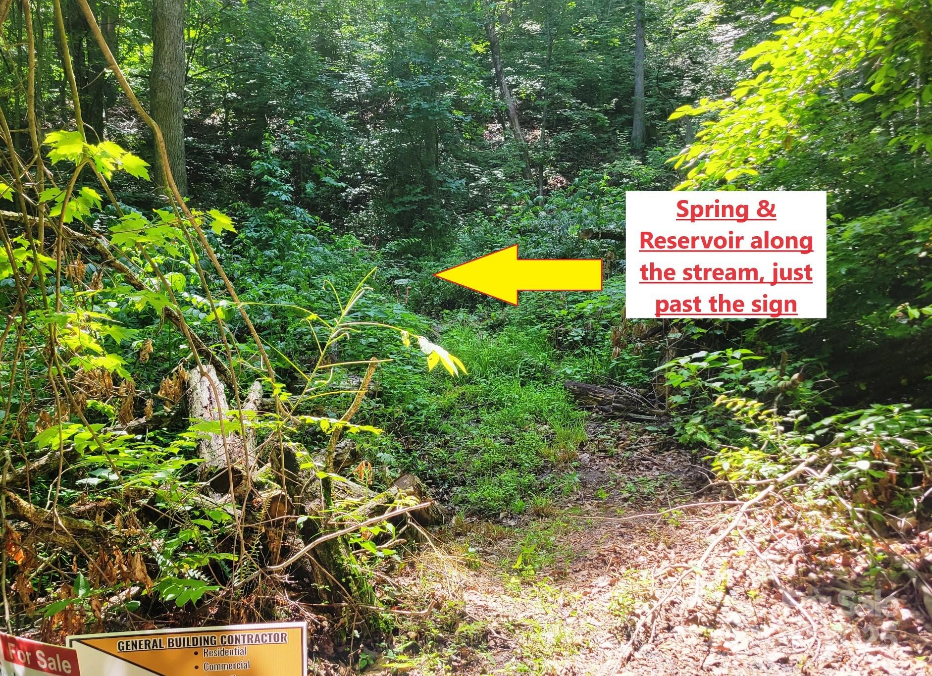 2100 Chambers Mountain Road Property Photo 20