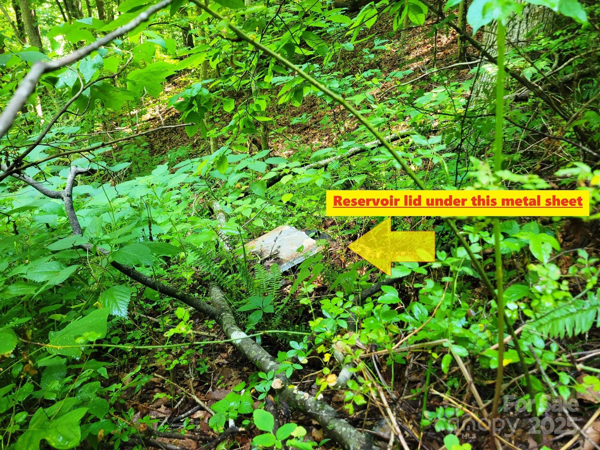 2100 Chambers Mountain Road Property Photo 21