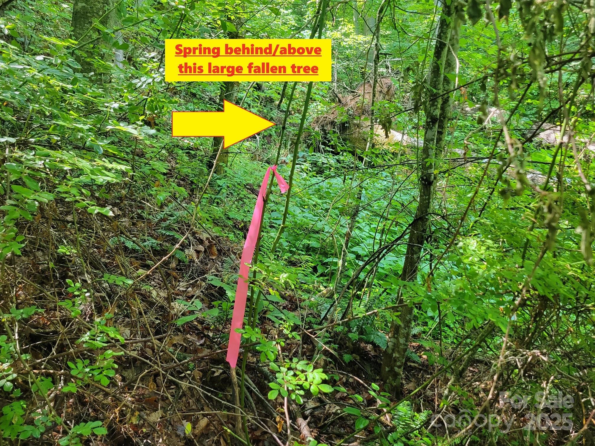 2100 Chambers Mountain Road Property Photo 22
