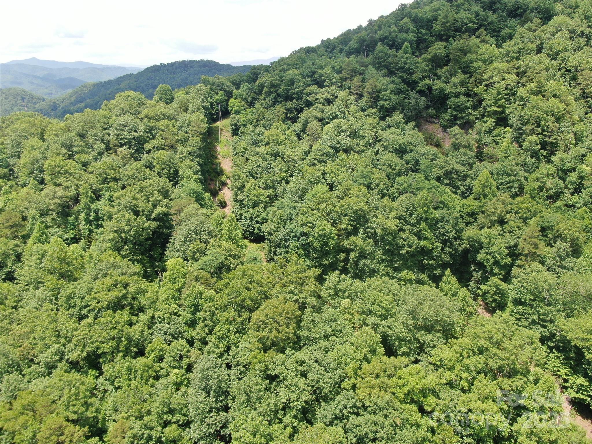 80 Breezewood Drive Property Photo 6