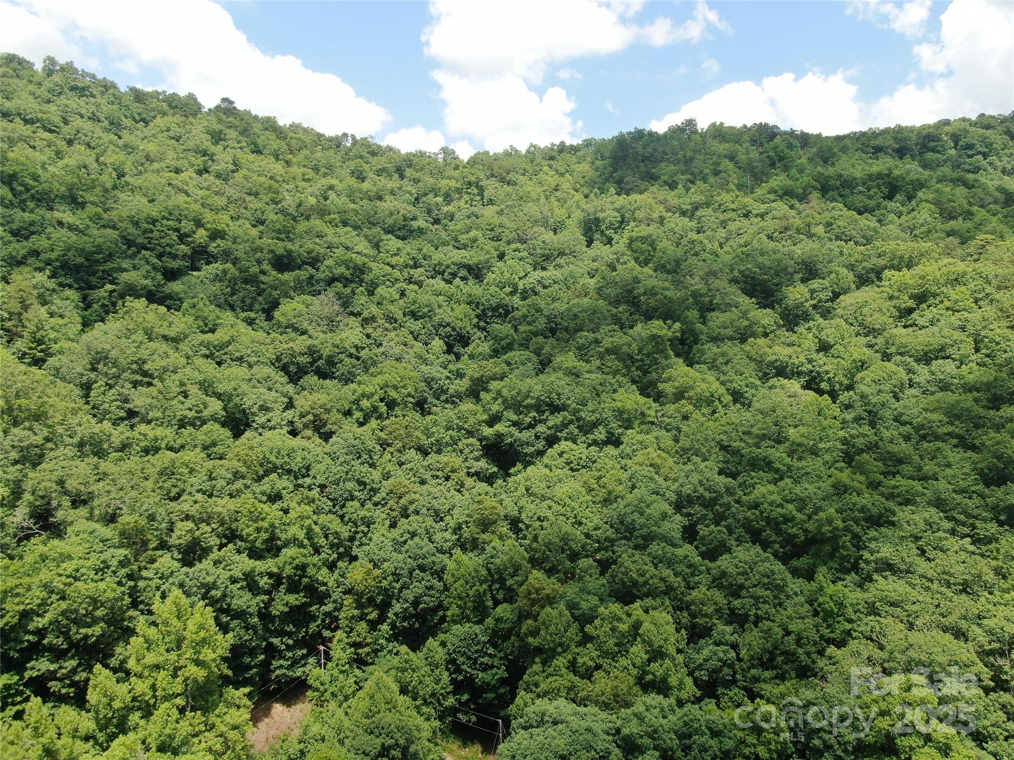 80 Breezewood Drive Property Photo 8