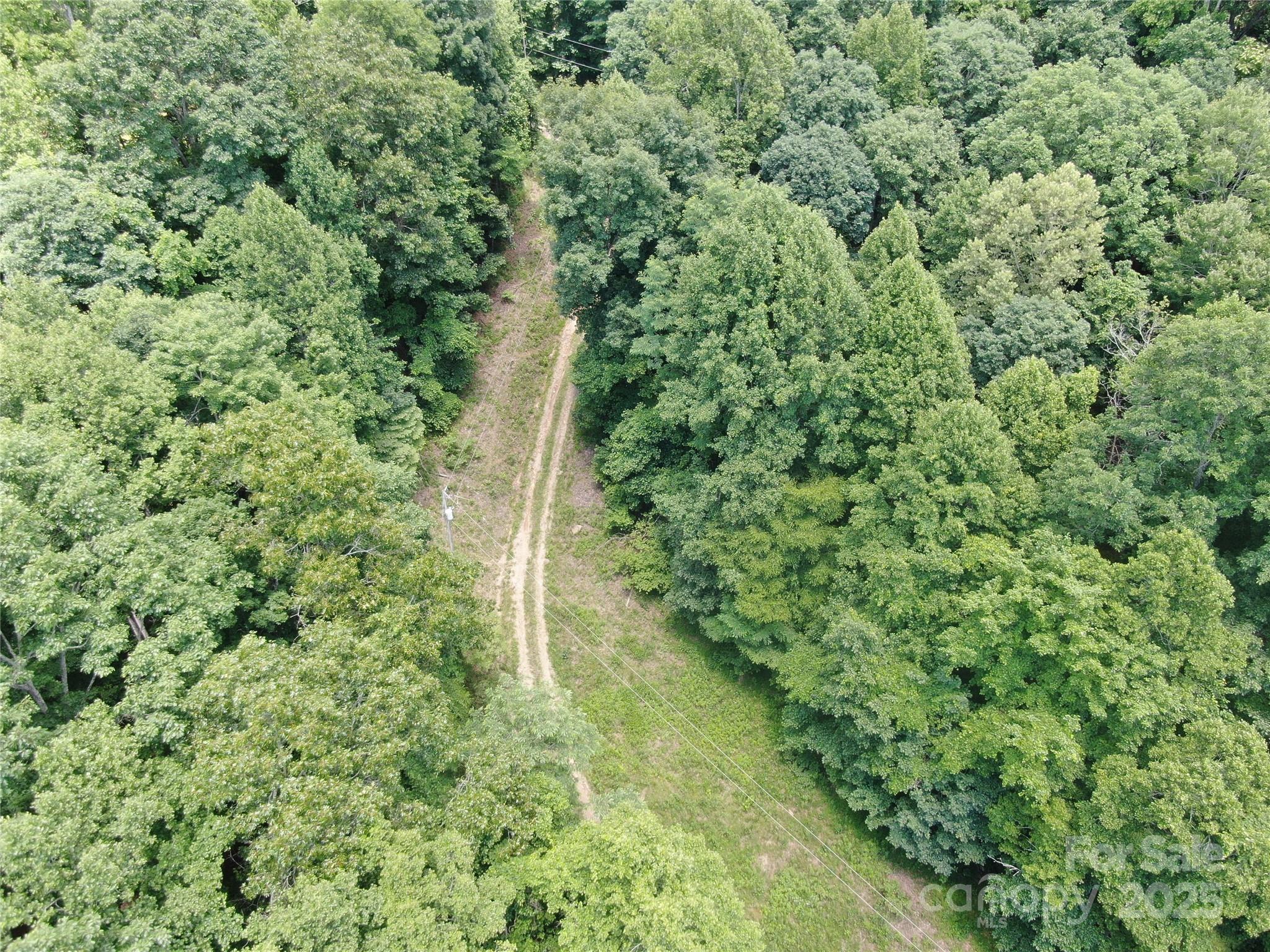 80 Breezewood Drive Property Photo 9