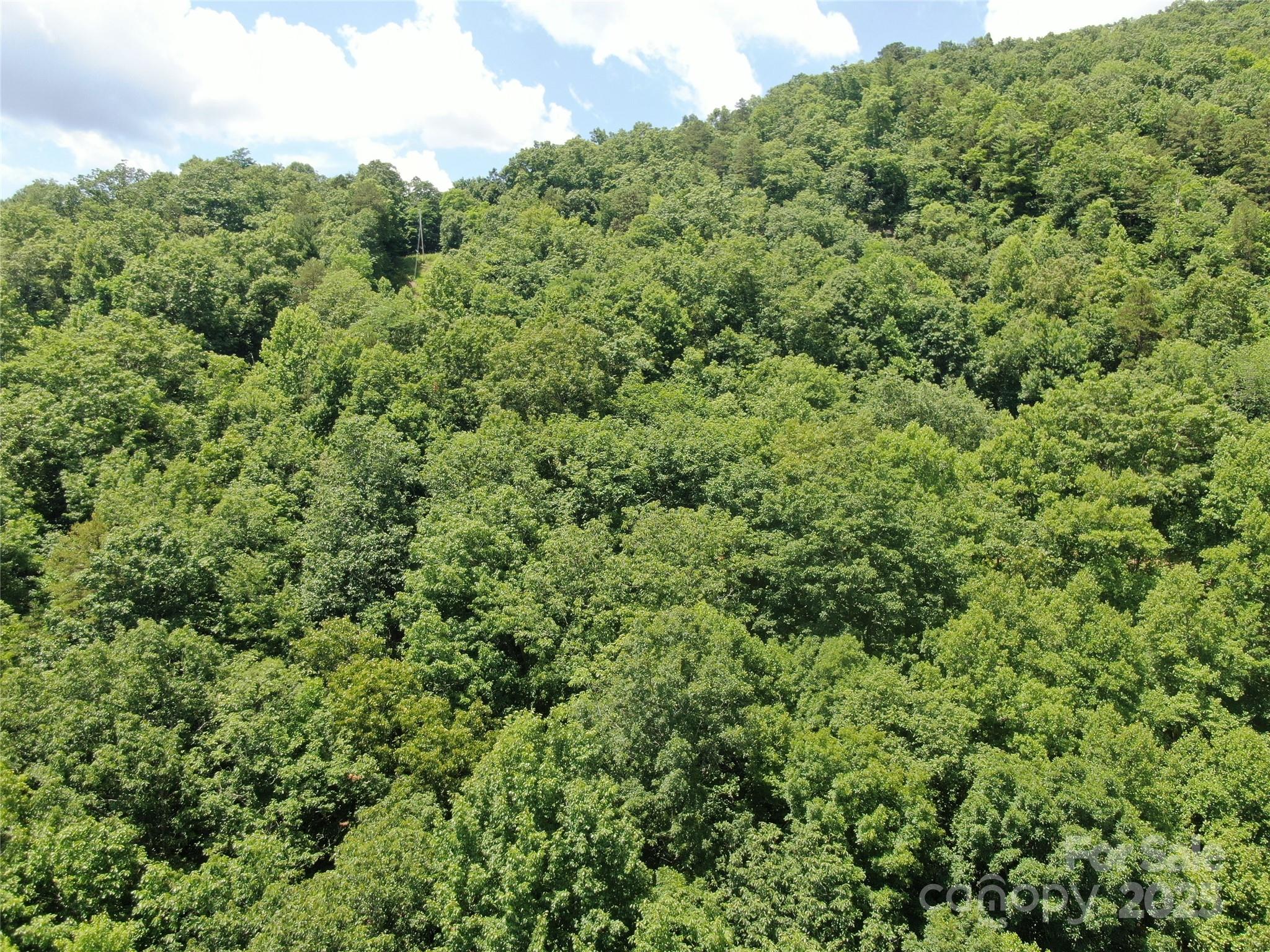 80 Breezewood Drive Property Photo 12