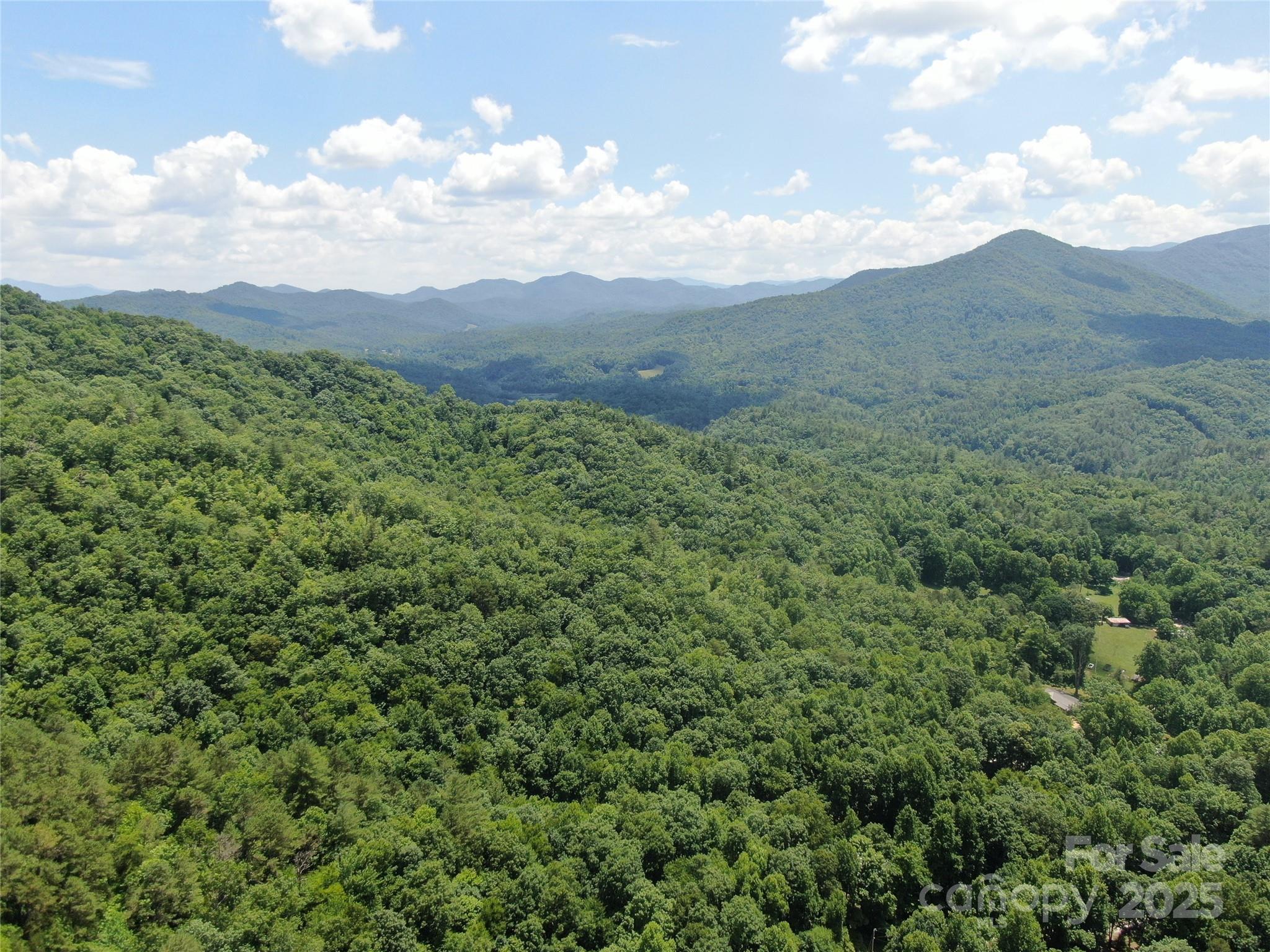 80 Breezewood Drive Property Photo 13