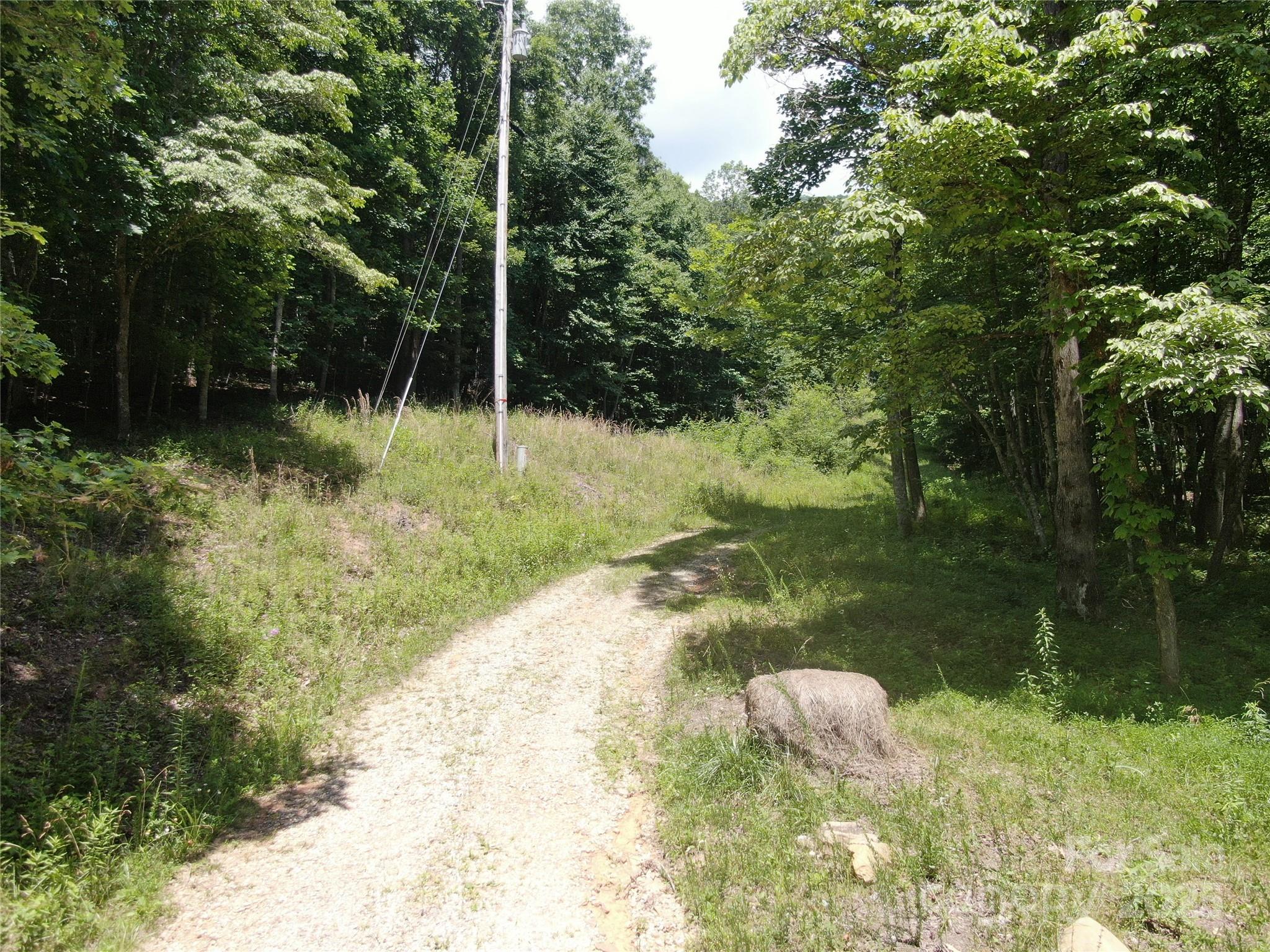 80 Breezewood Drive Property Photo 19