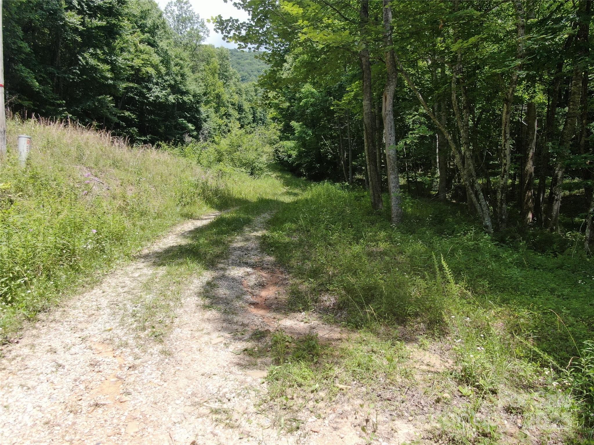 80 Breezewood Drive Property Photo 29