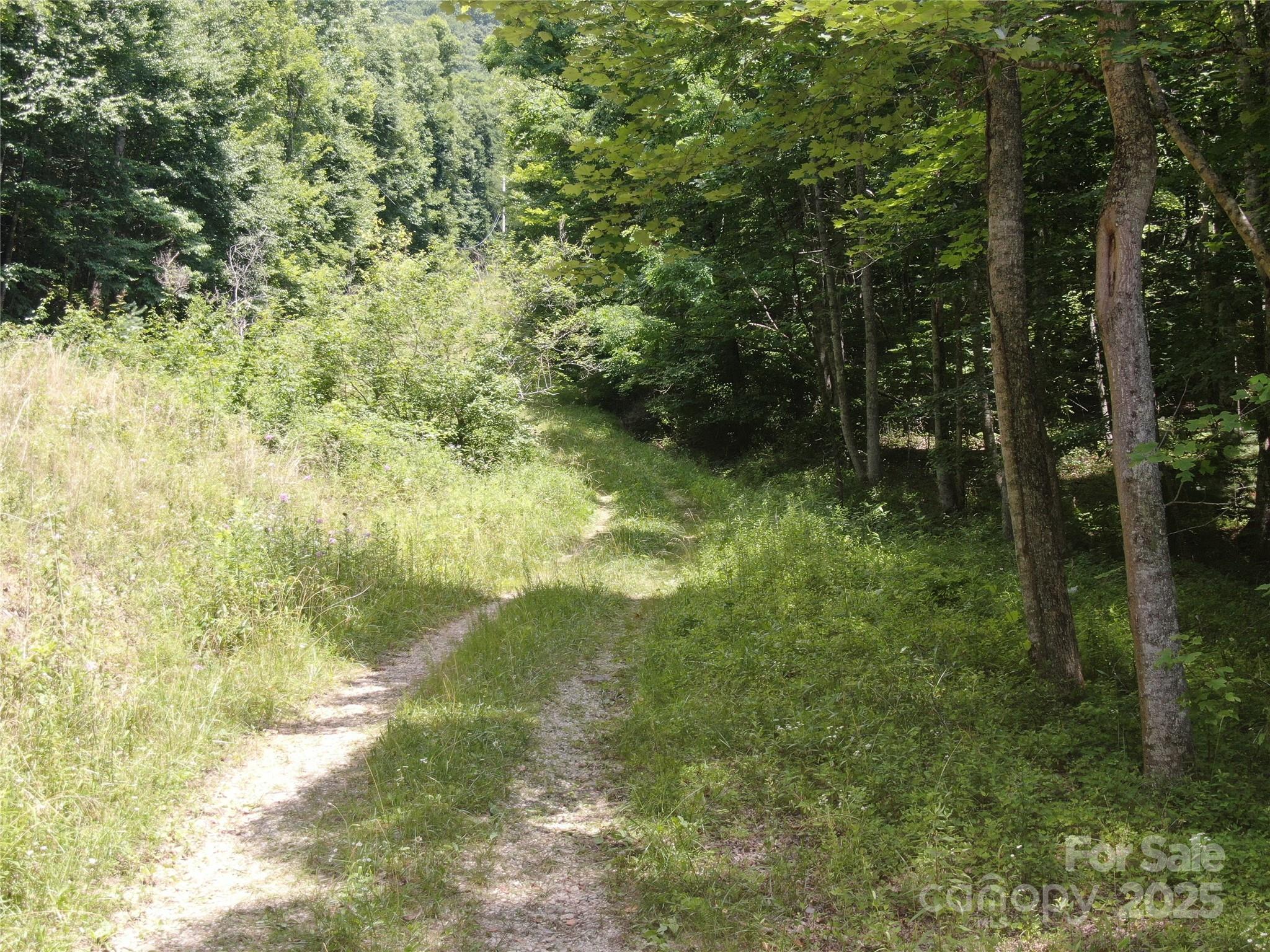 80 Breezewood Drive Property Photo 30