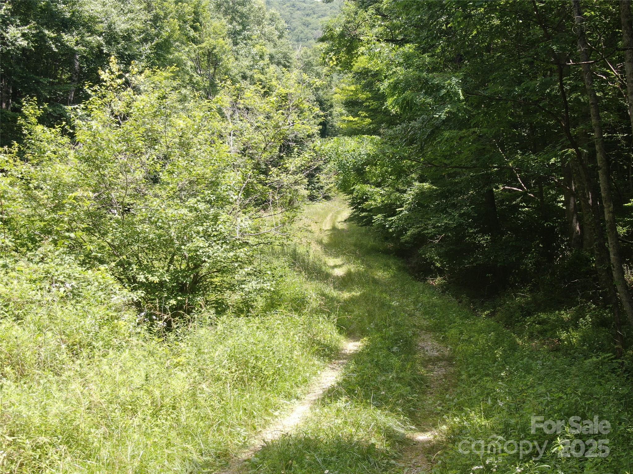 80 Breezewood Drive Property Photo 31