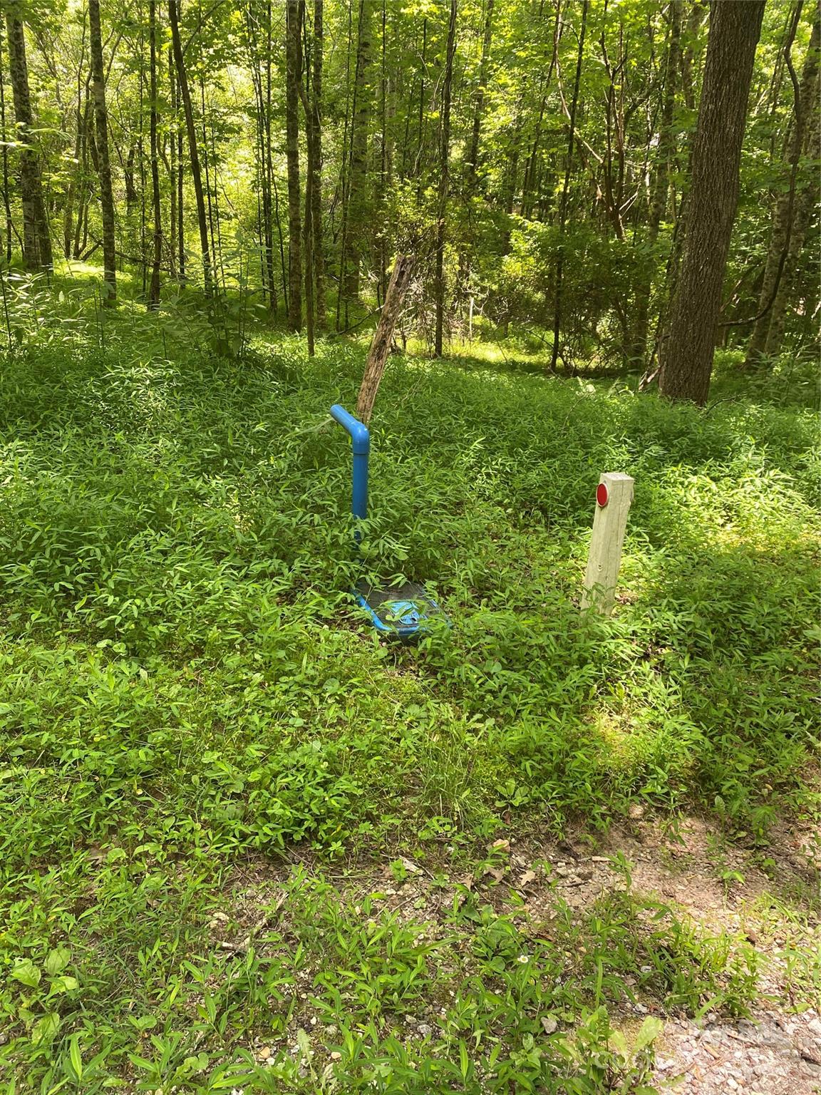 80 Breezewood Drive Property Photo 36