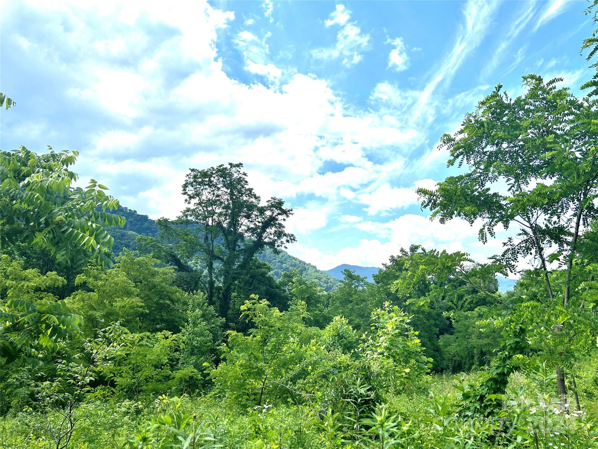 00 Split Pine Cove Property Photo 6