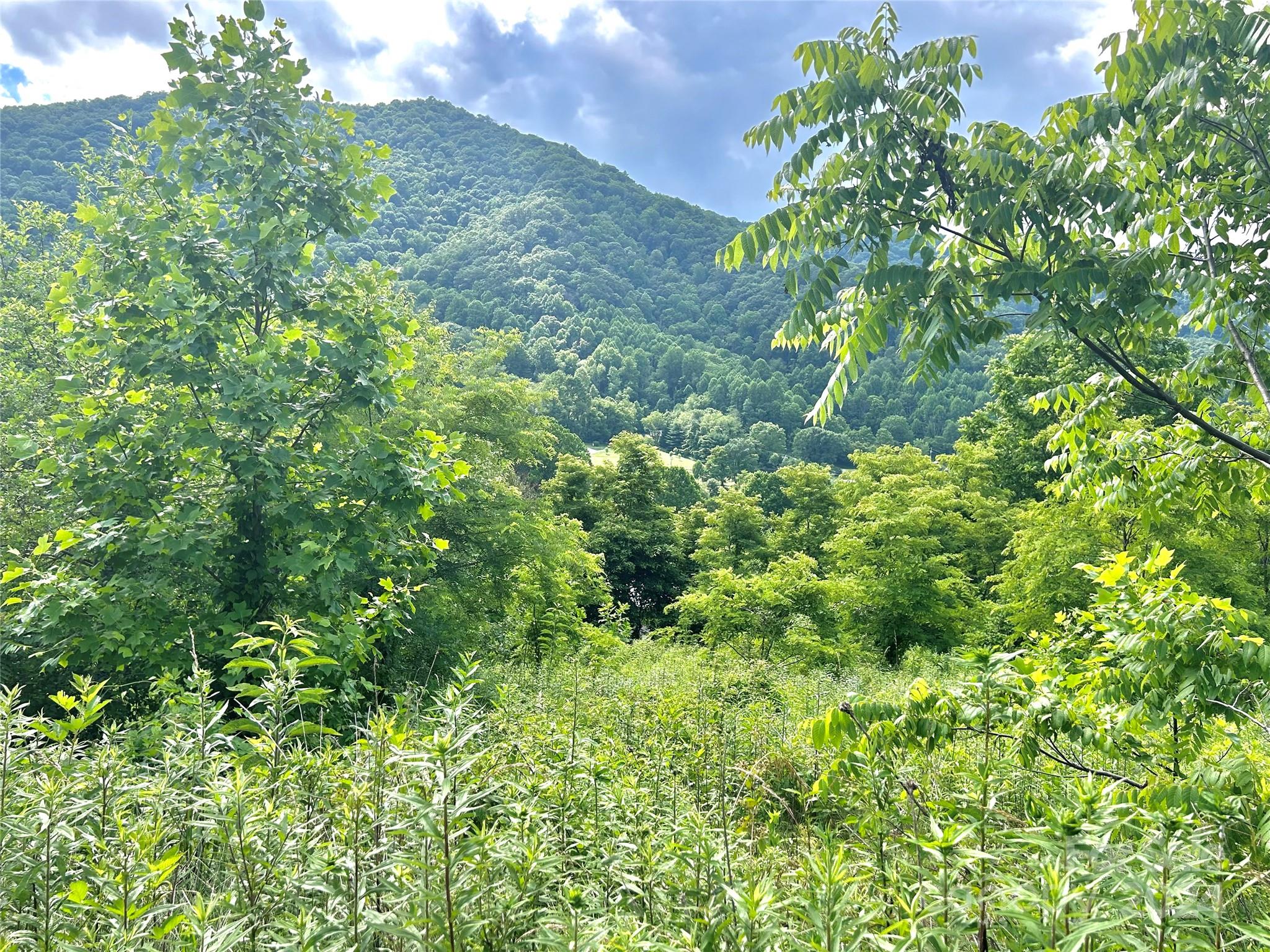 00 Split Pine Cove Property Photo 7