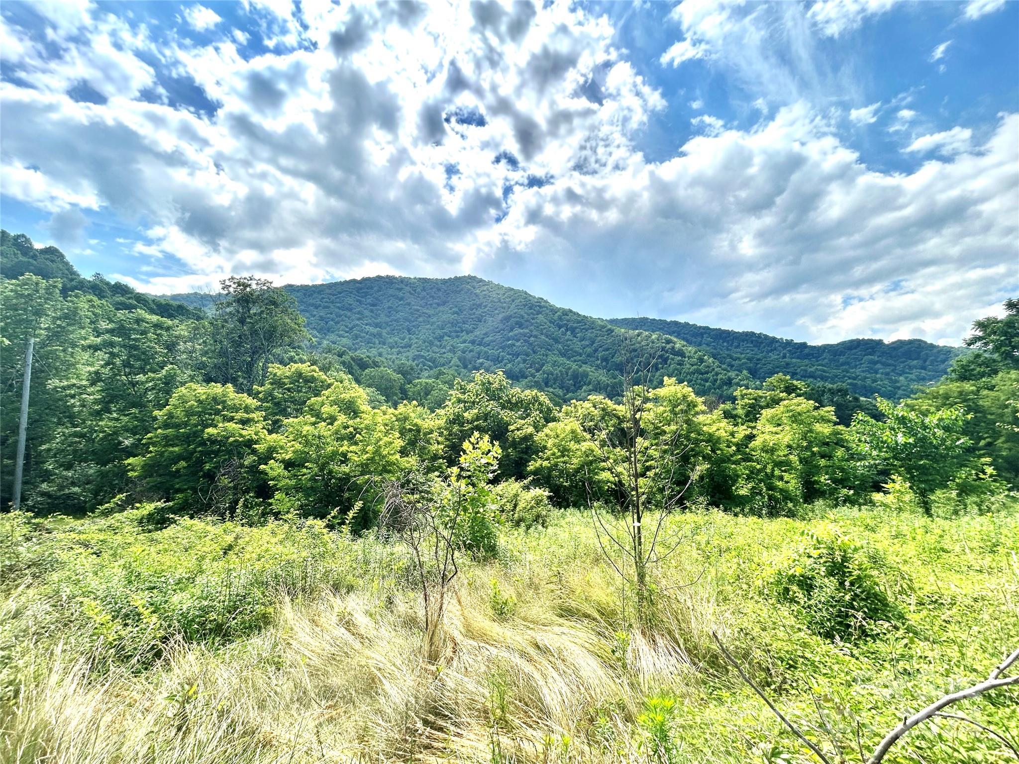 00 Split Pine Cove Property Photo 8