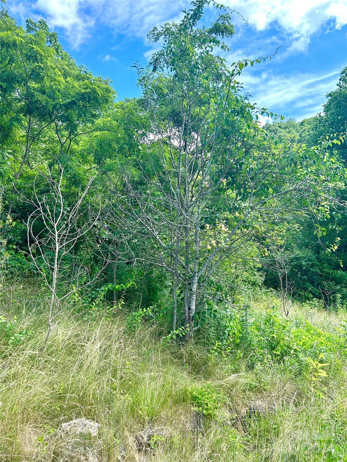 00 Split Pine Cove Property Photo 9