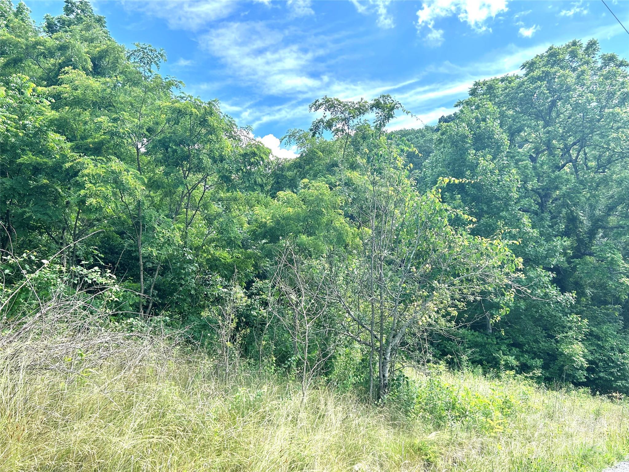 00 Split Pine Cove Property Photo 11