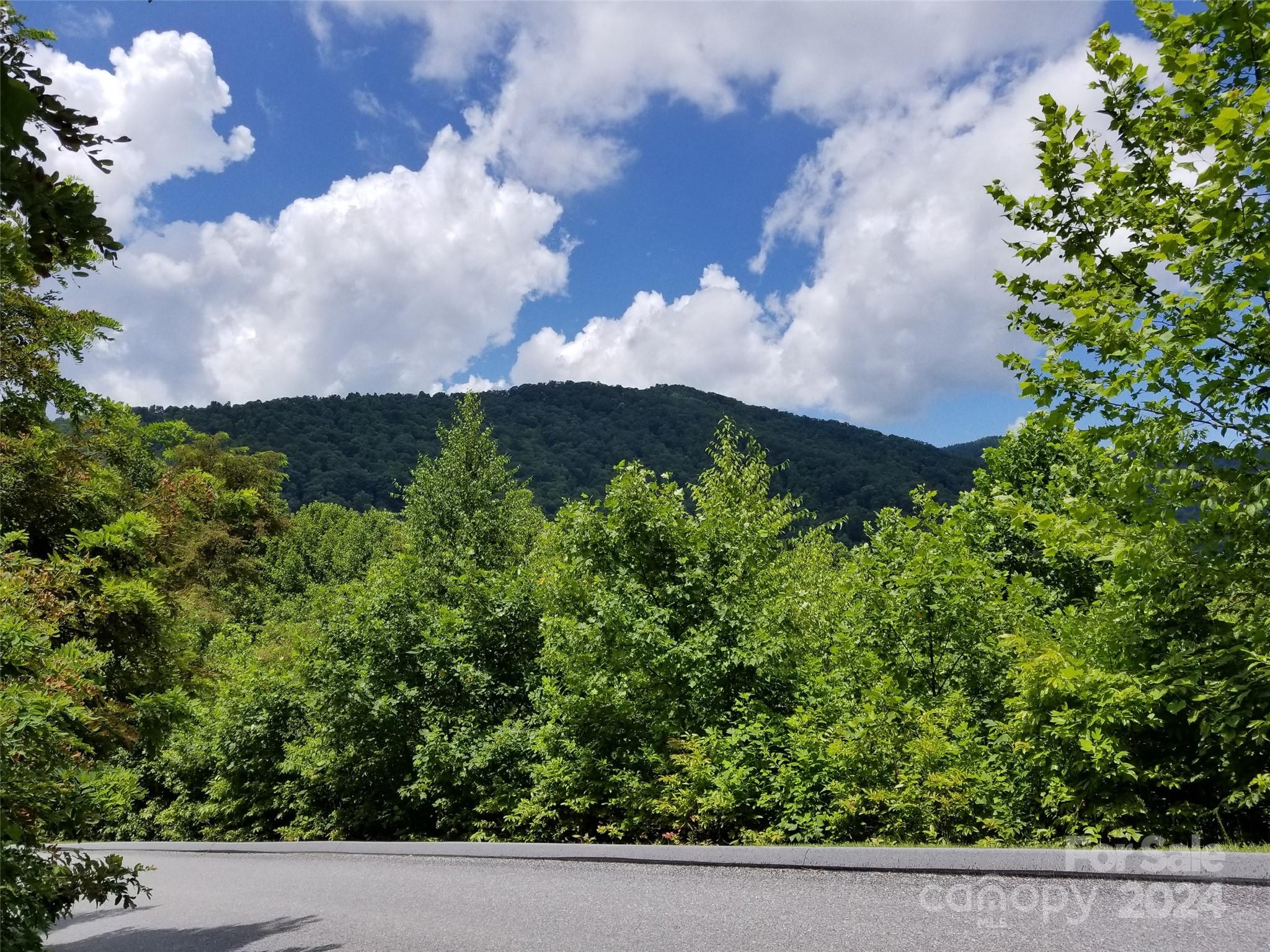 567 Blue Mist Way Property Photo 1