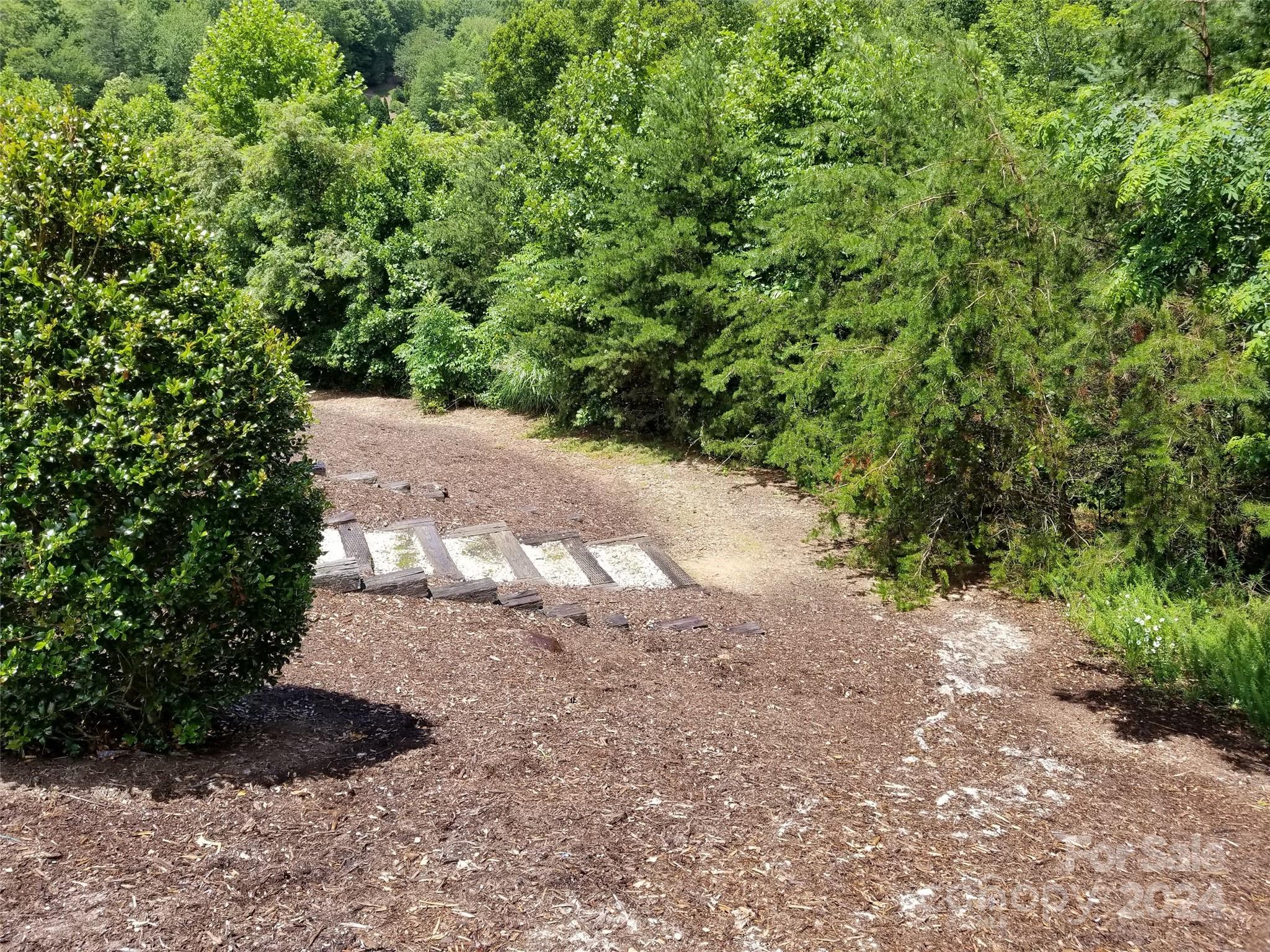 567 Blue Mist Way Property Photo 6