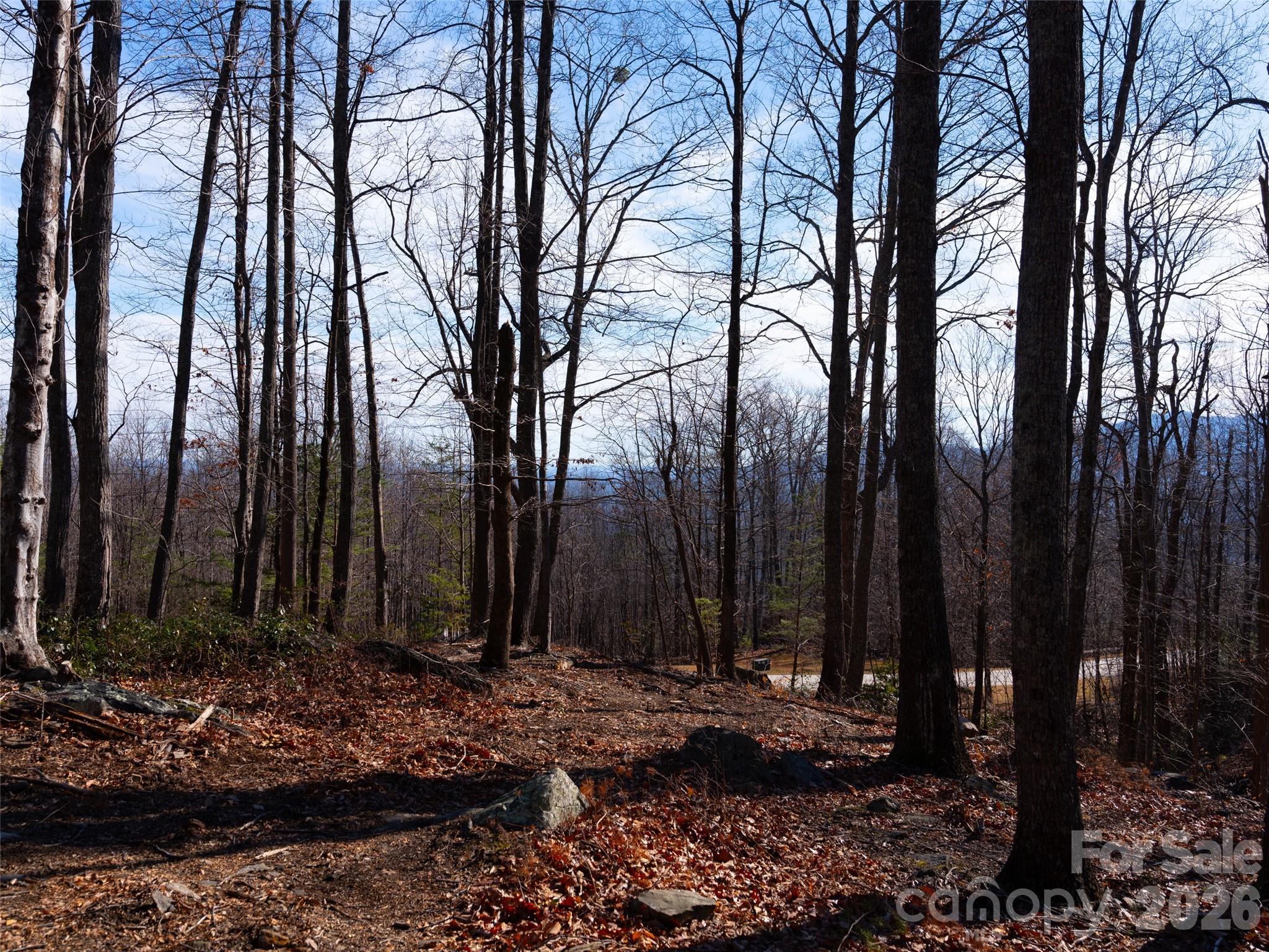 220 Chesterfield Drive Property Photo 6