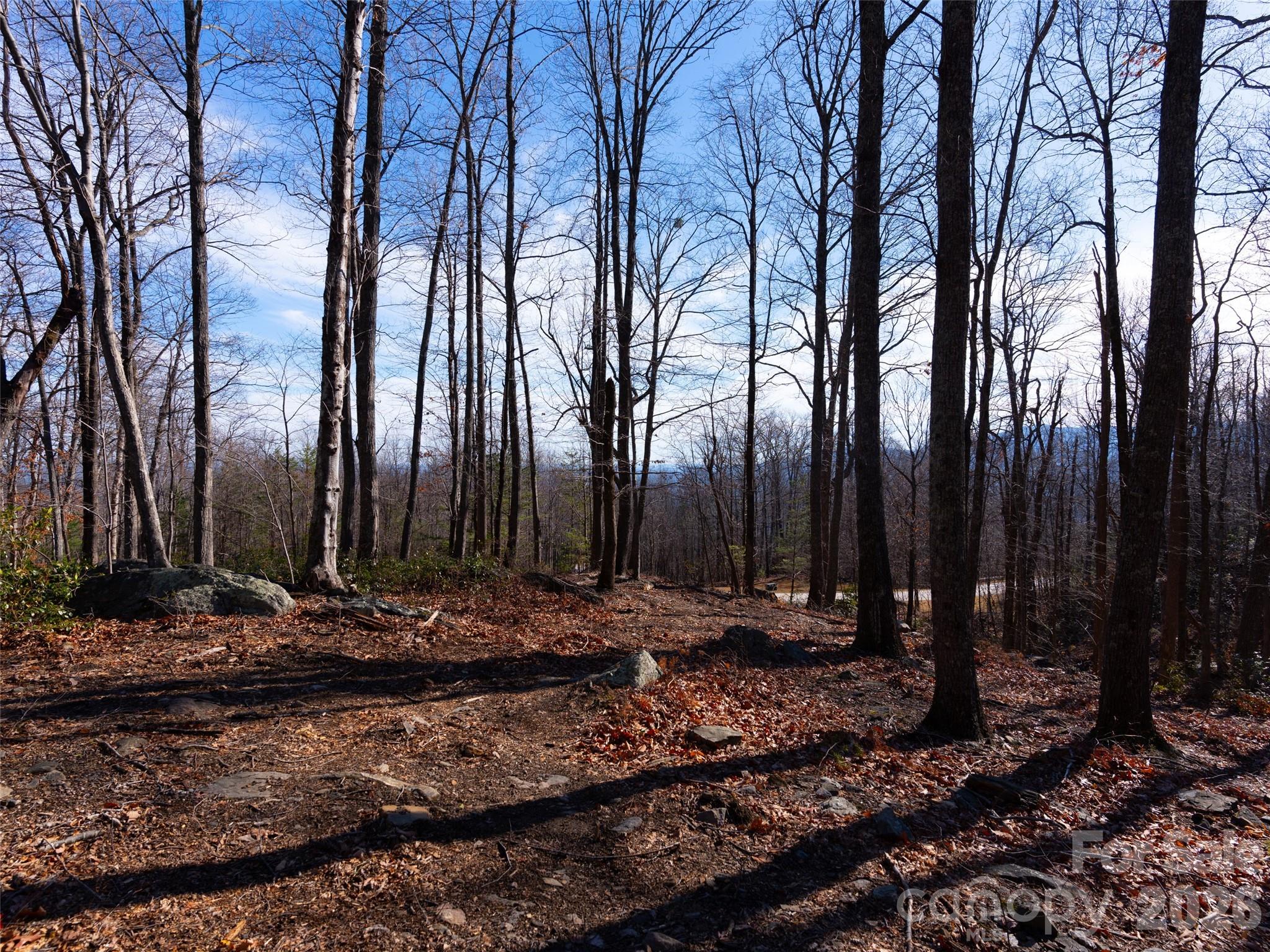 220 Chesterfield Drive Property Photo 7