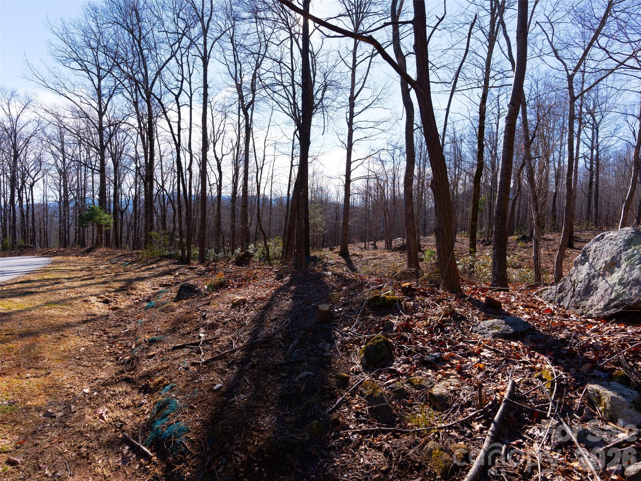 220 Chesterfield Drive Property Photo 8