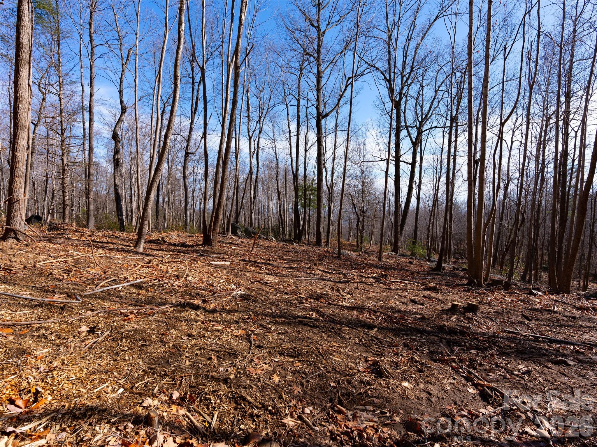 220 Chesterfield Drive Property Photo 10