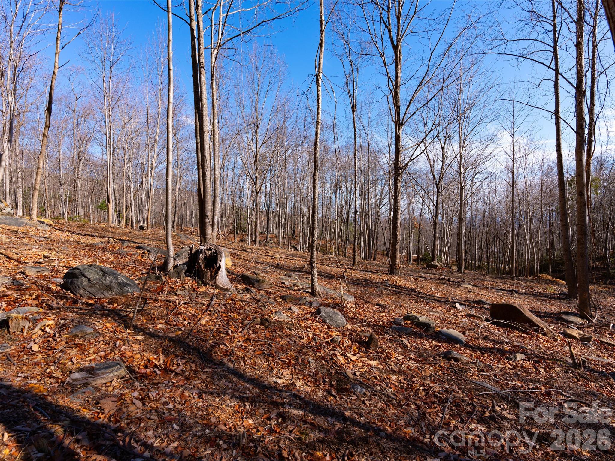 220 Chesterfield Drive Property Photo 11