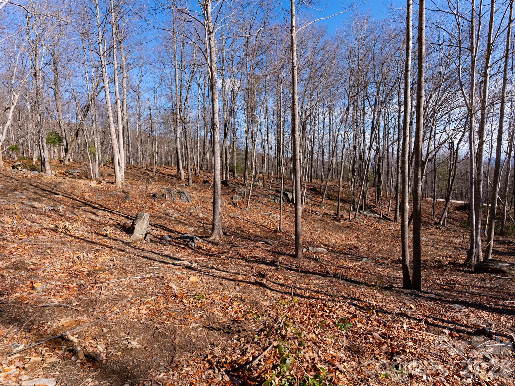 220 Chesterfield Drive Property Photo 12