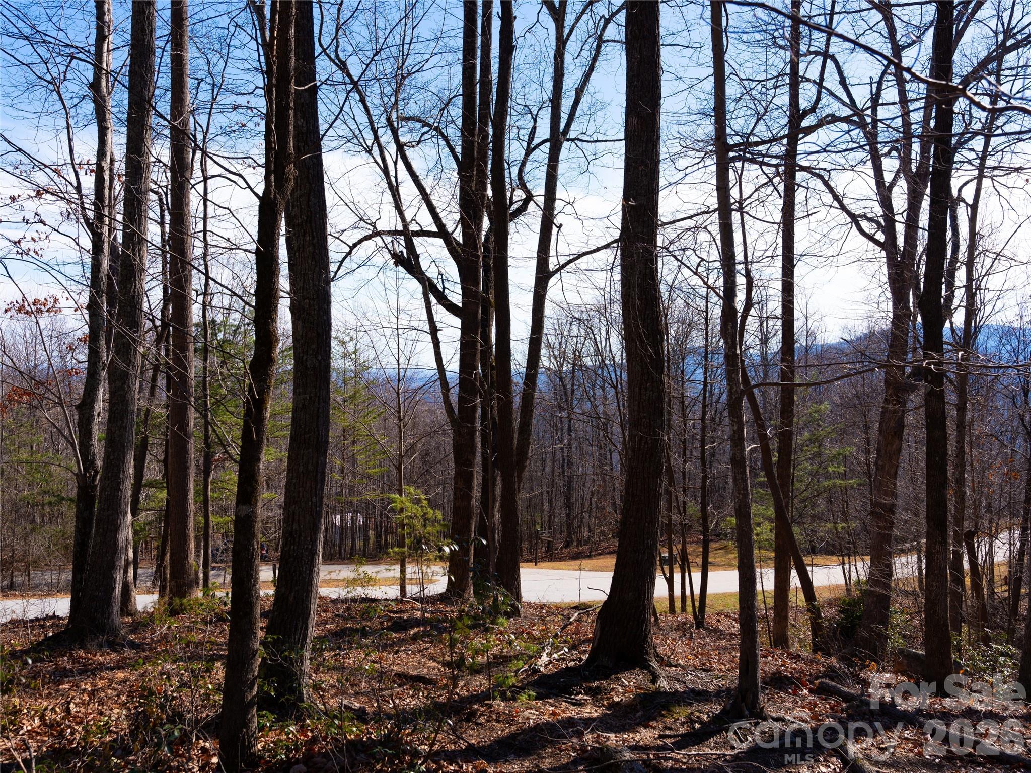 220 Chesterfield Drive Property Photo 17