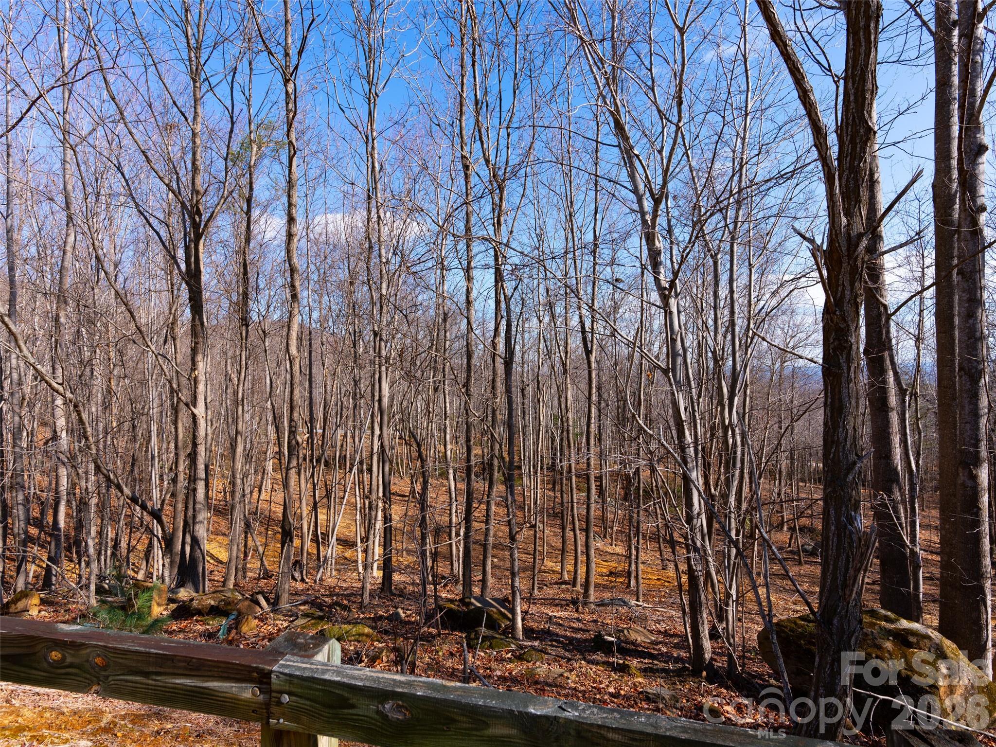 220 Chesterfield Drive Property Photo 19