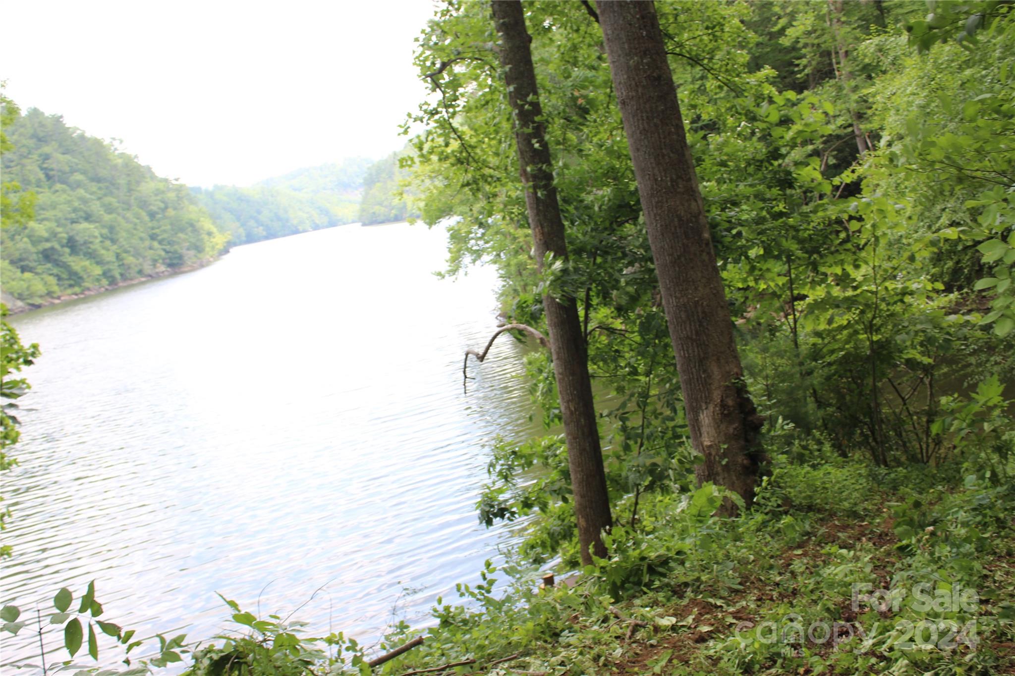 000 White Oak Road Property Photo 10