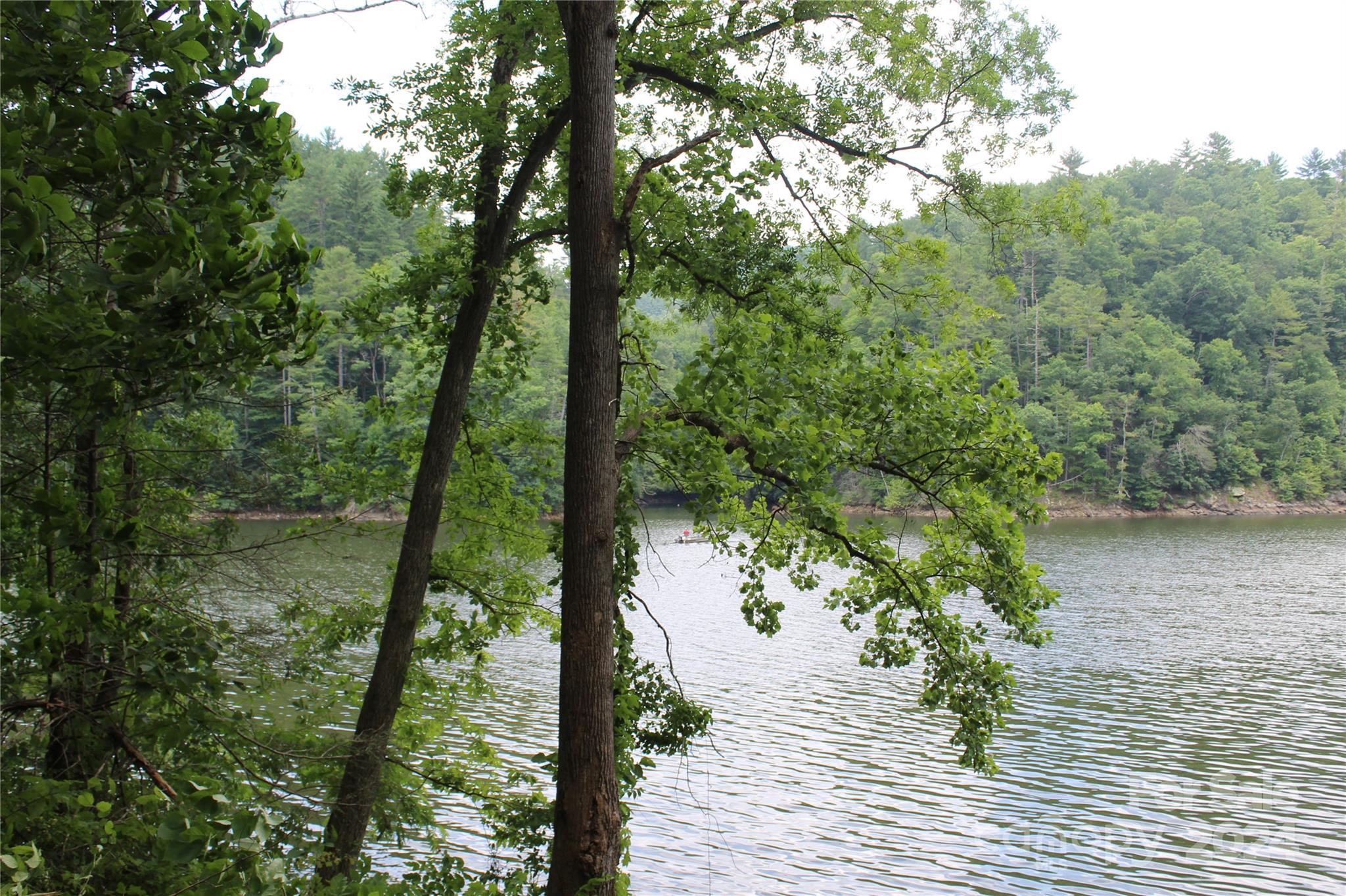 000 White Oak Road Property Photo 11