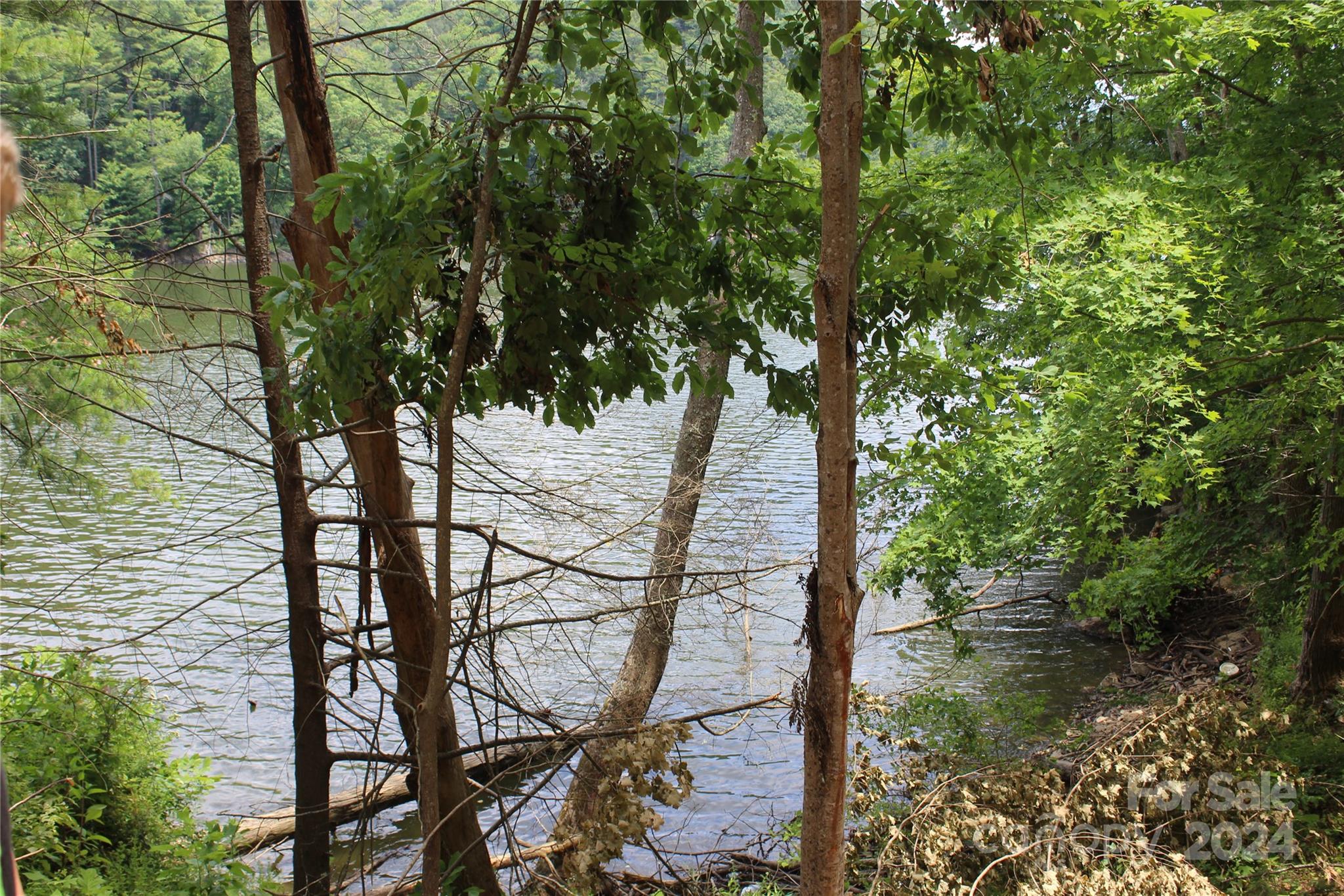 000 White Oak Road Property Photo 13