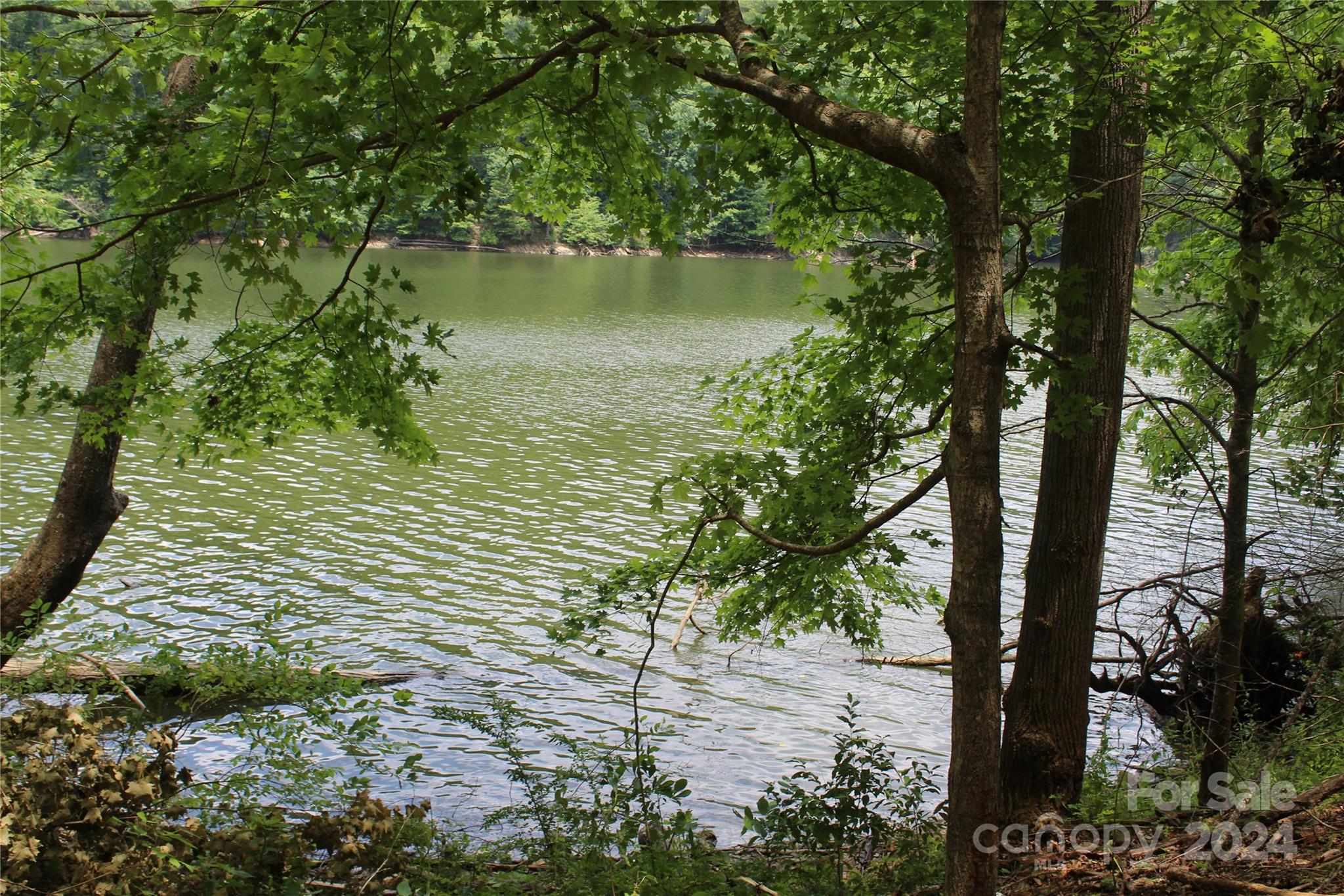 000 White Oak Road Property Photo 14