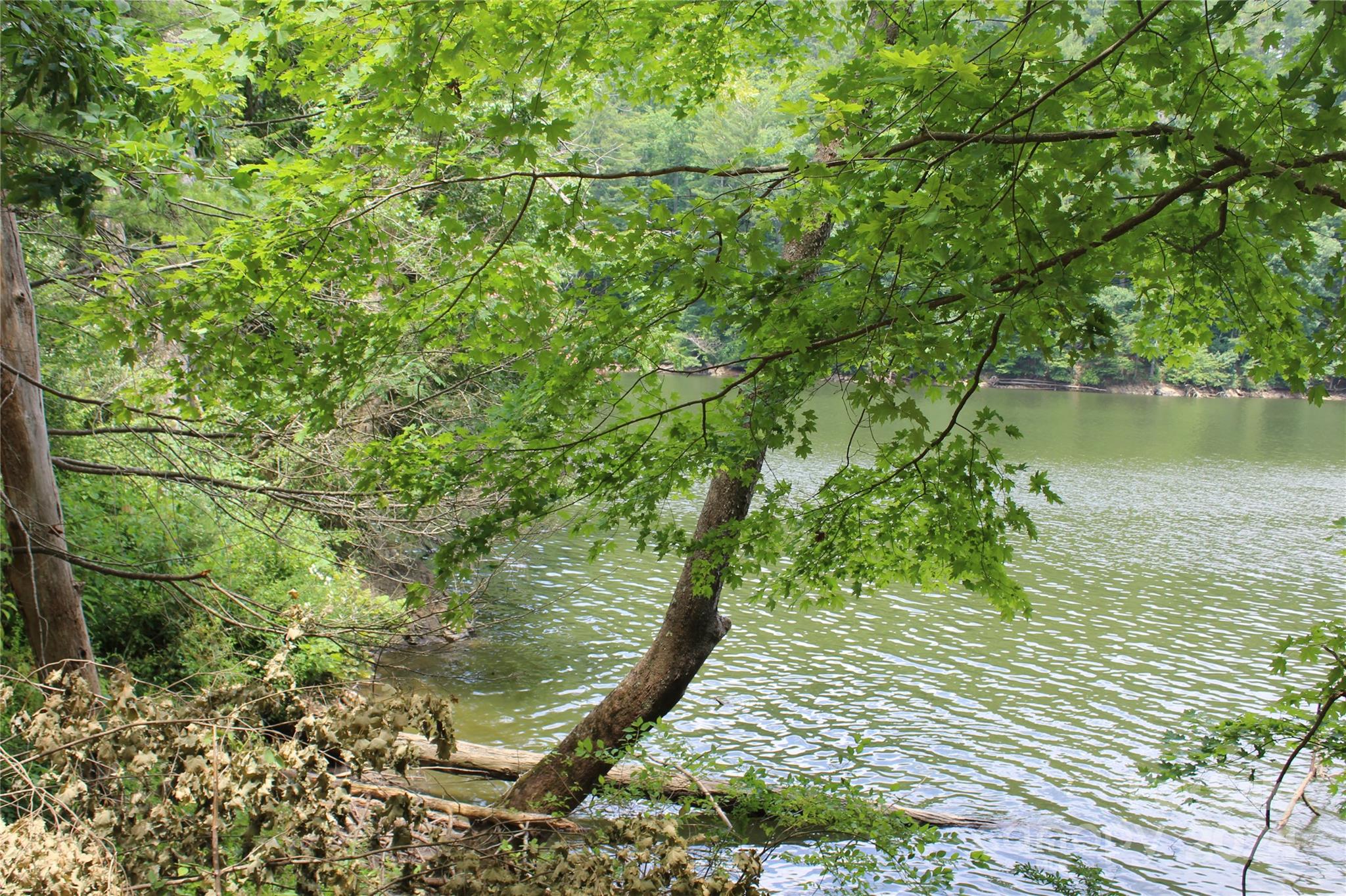 000 White Oak Road Property Photo 15