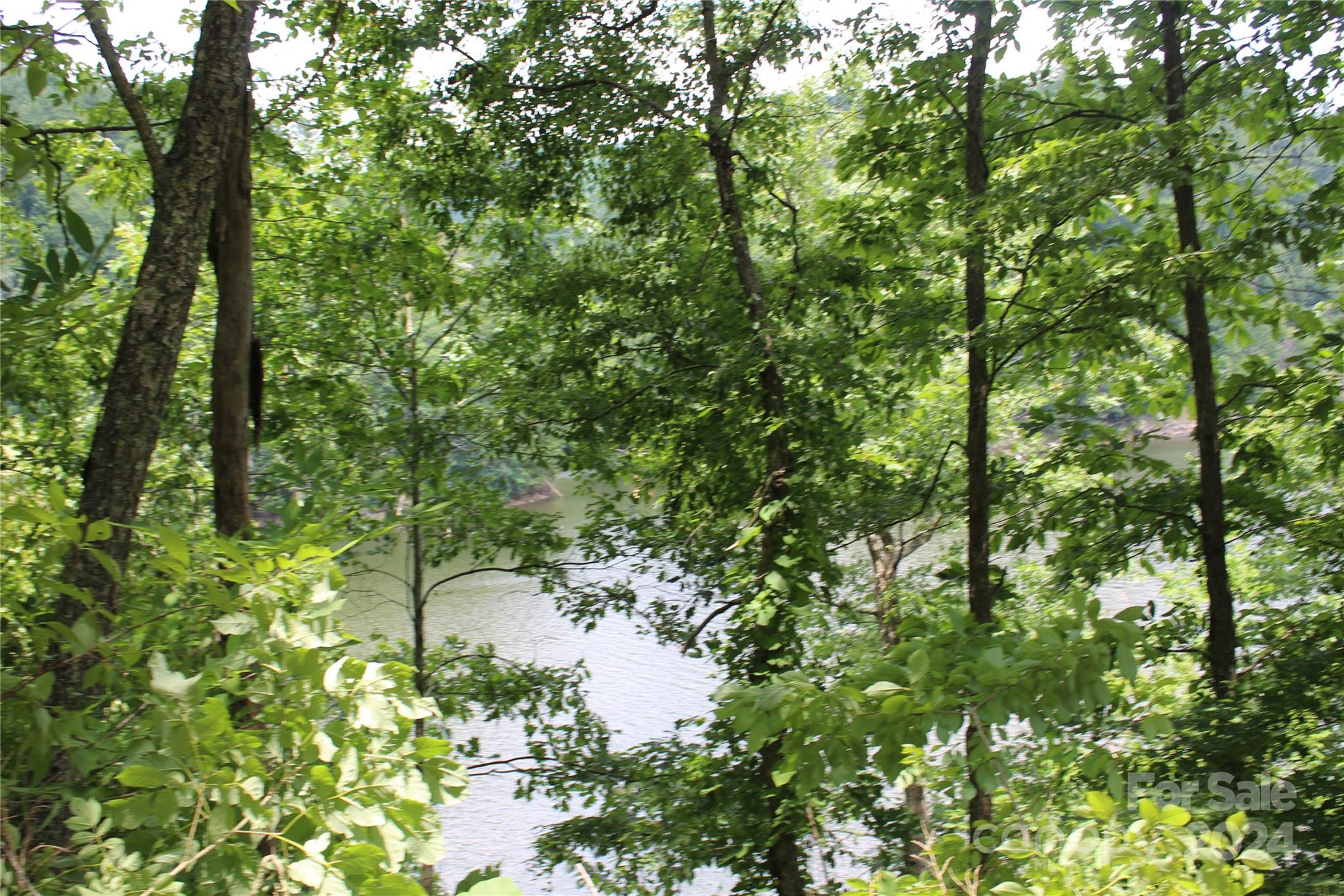 000 White Oak Road Property Photo 19