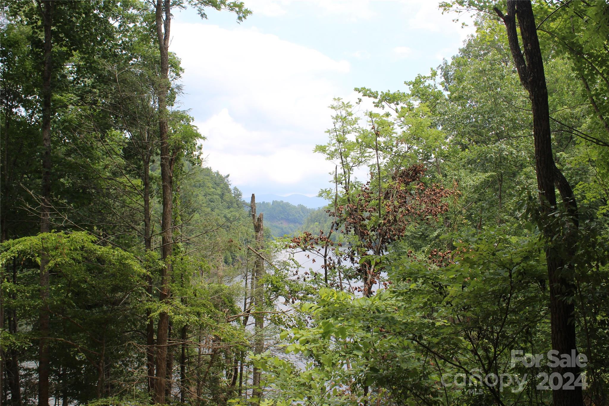 000 White Oak Road Property Photo 21