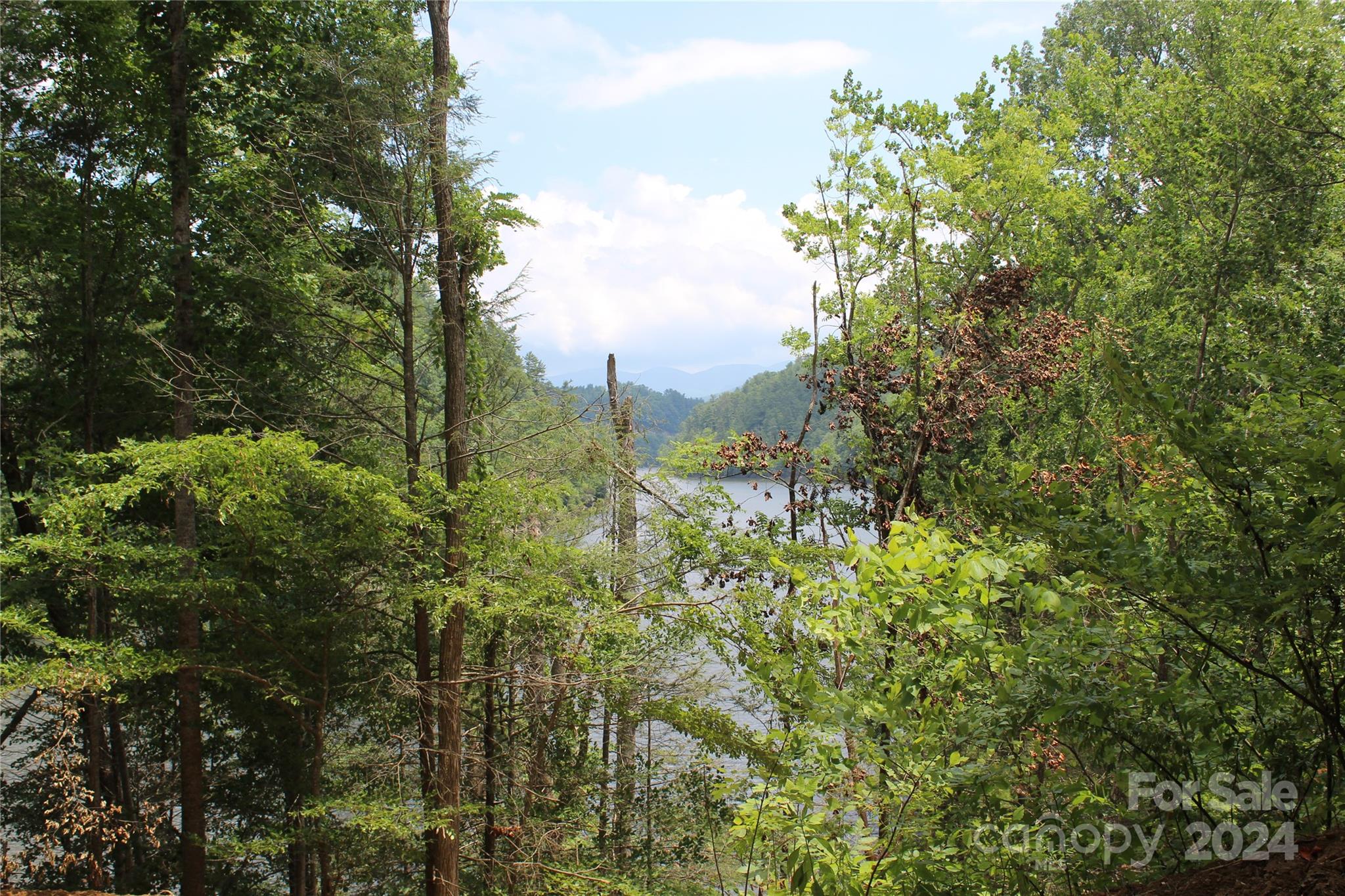 000 White Oak Road Property Photo 22