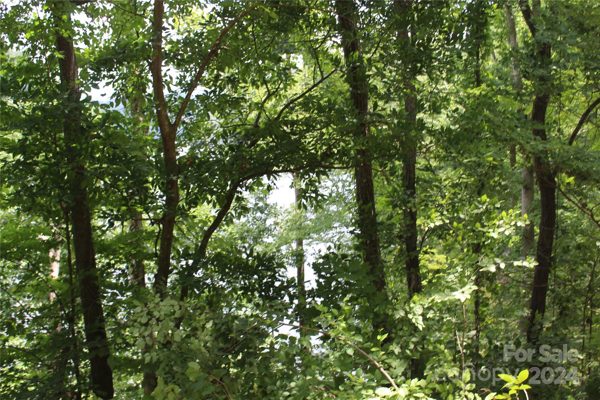 000 White Oak Road Property Photo 23