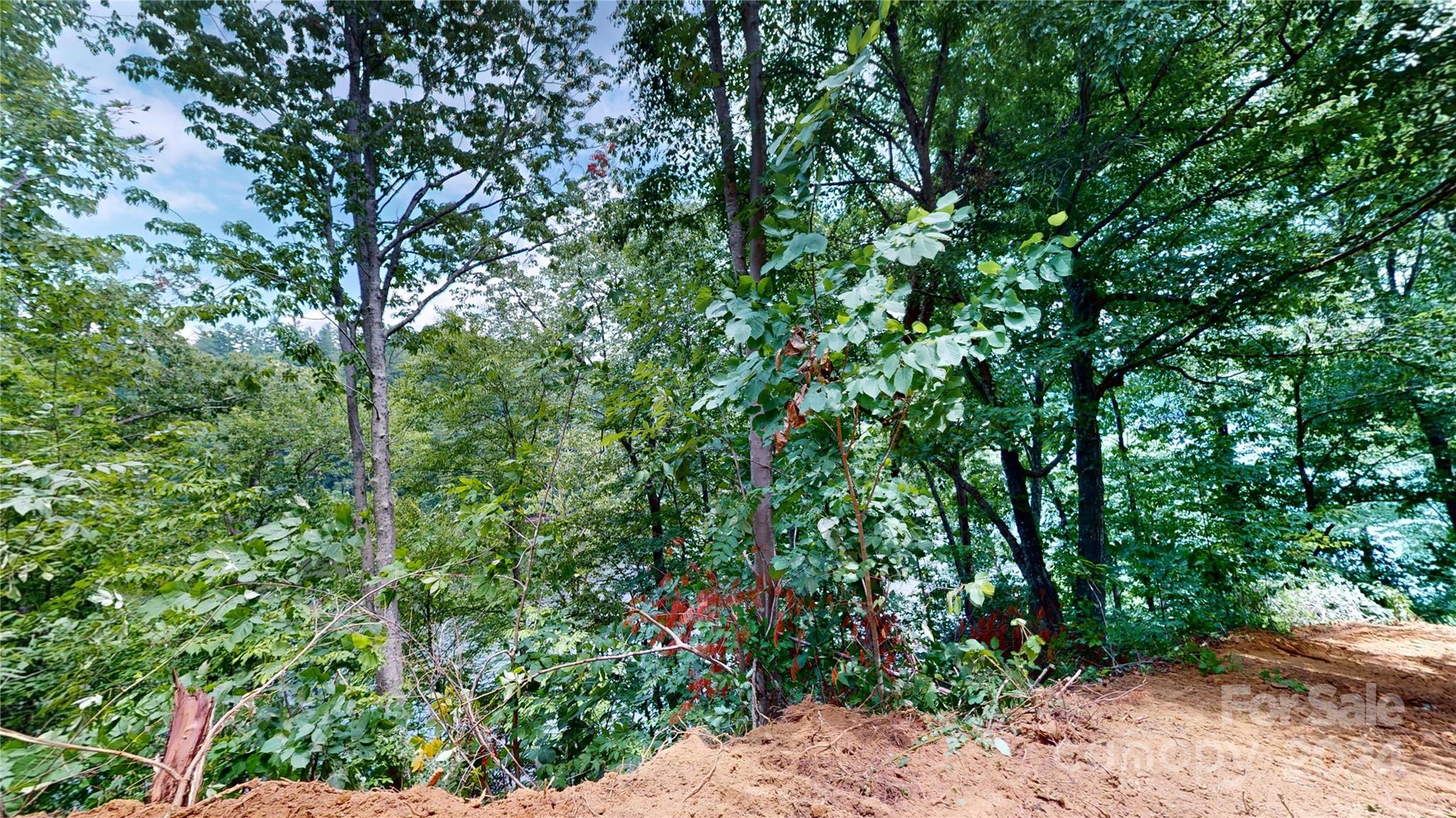 000 White Oak Road Property Photo 26