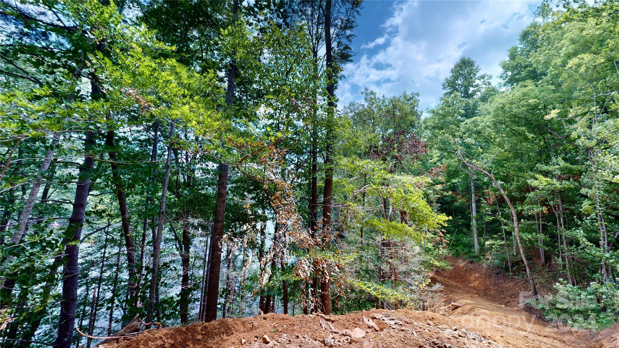 000 White Oak Road Property Photo 28