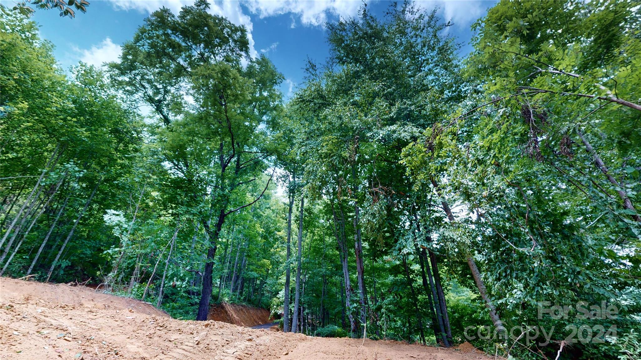 000 White Oak Road Property Photo 29