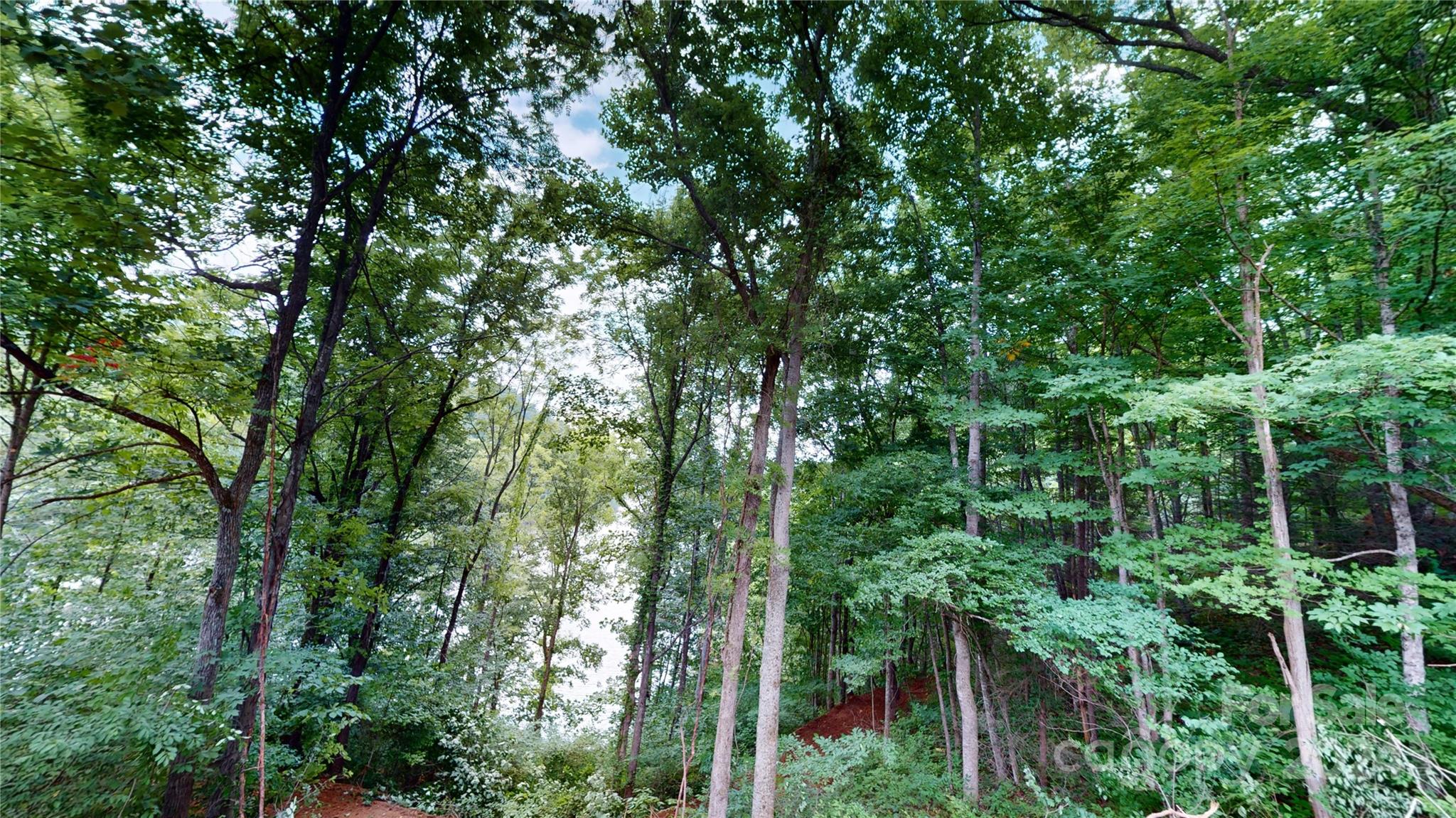 000 White Oak Road Property Photo 30
