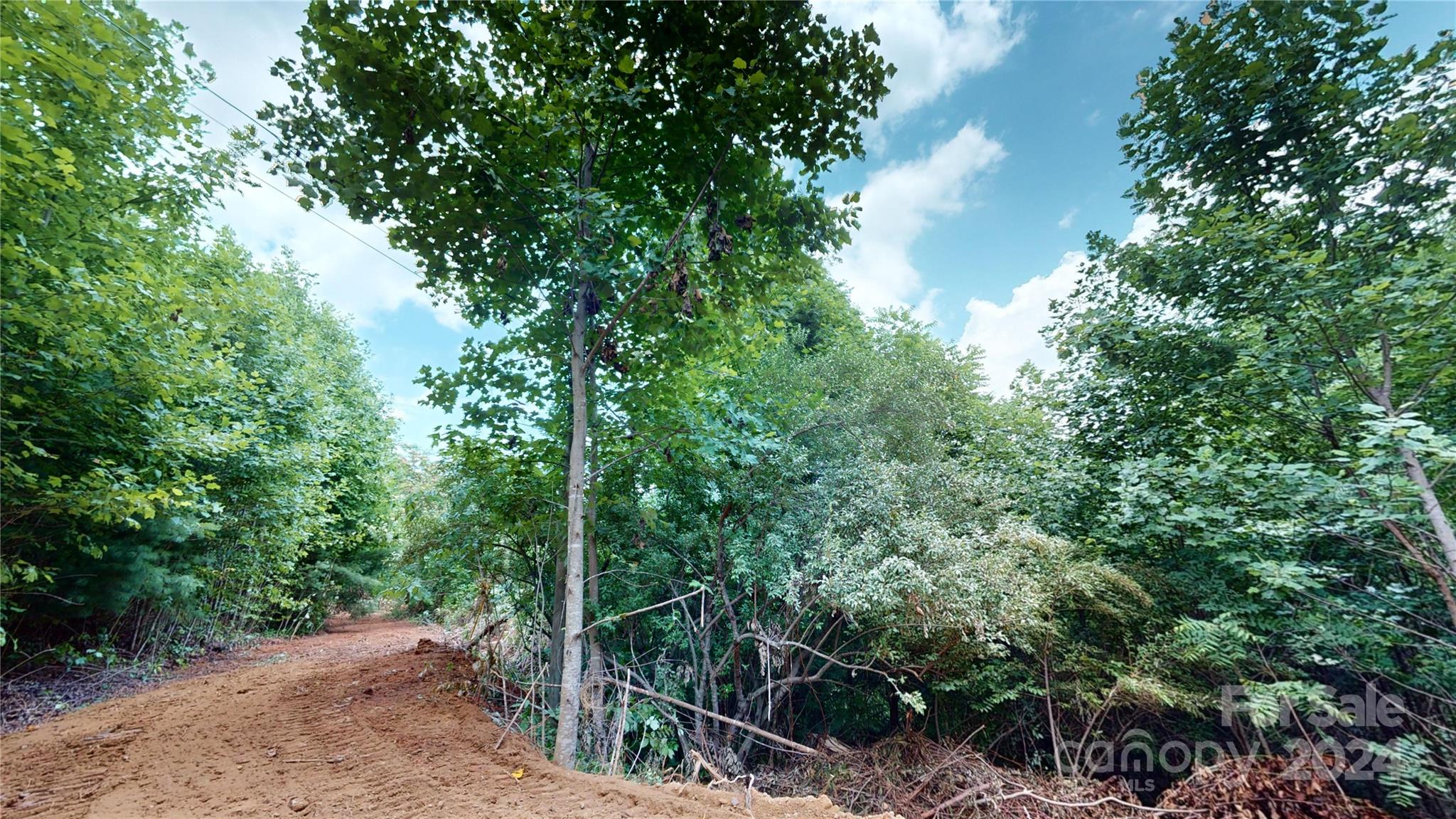 000 White Oak Road Property Photo 39