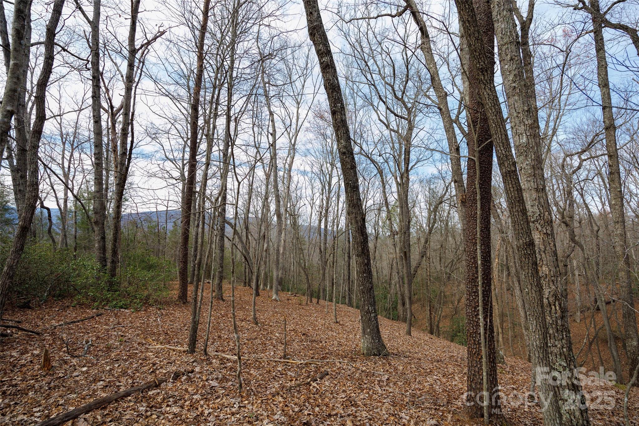 0 Lytle Mountain Road Property Photo 1