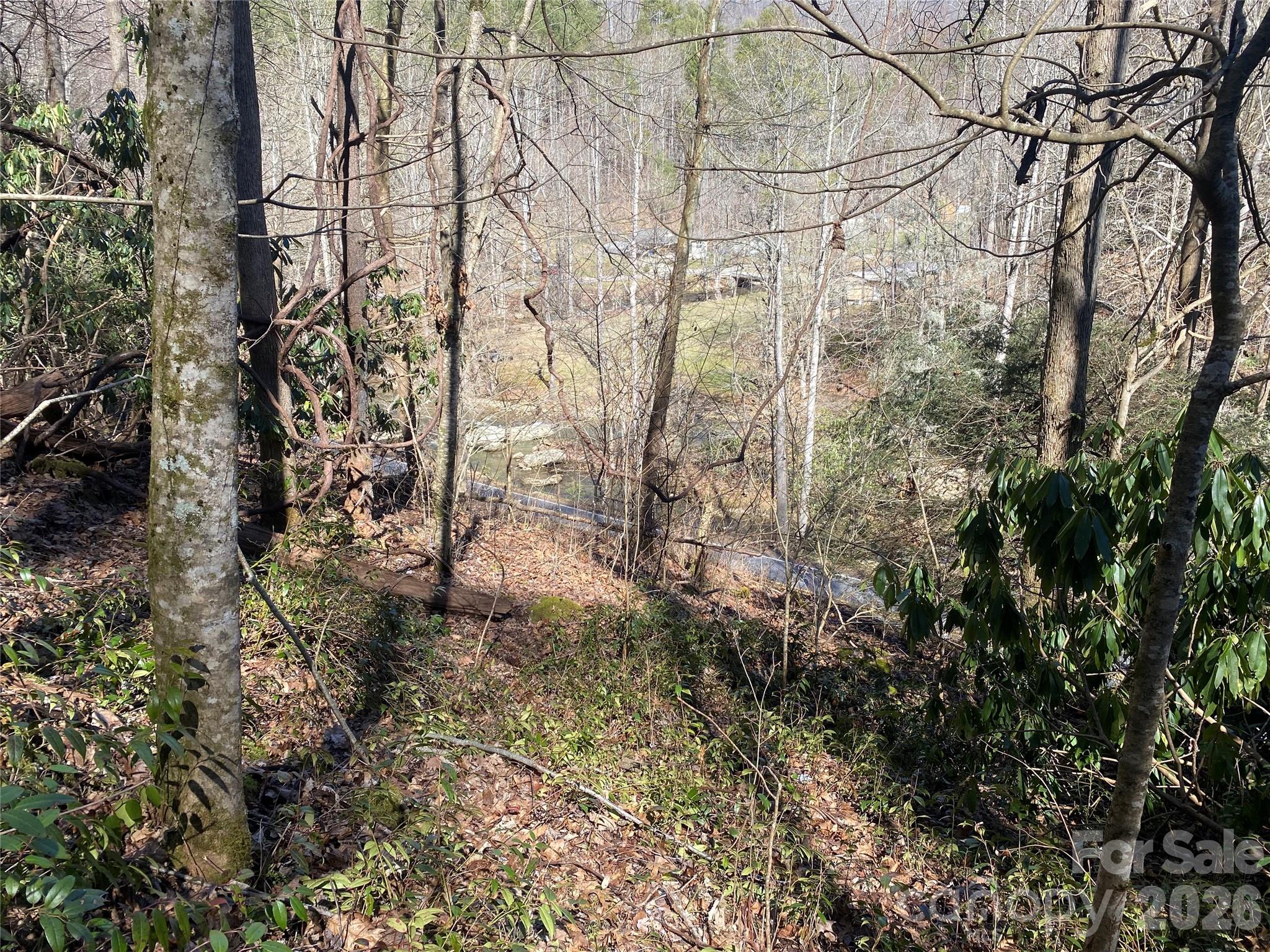 0000 Big Laurel Road Property Photo 12
