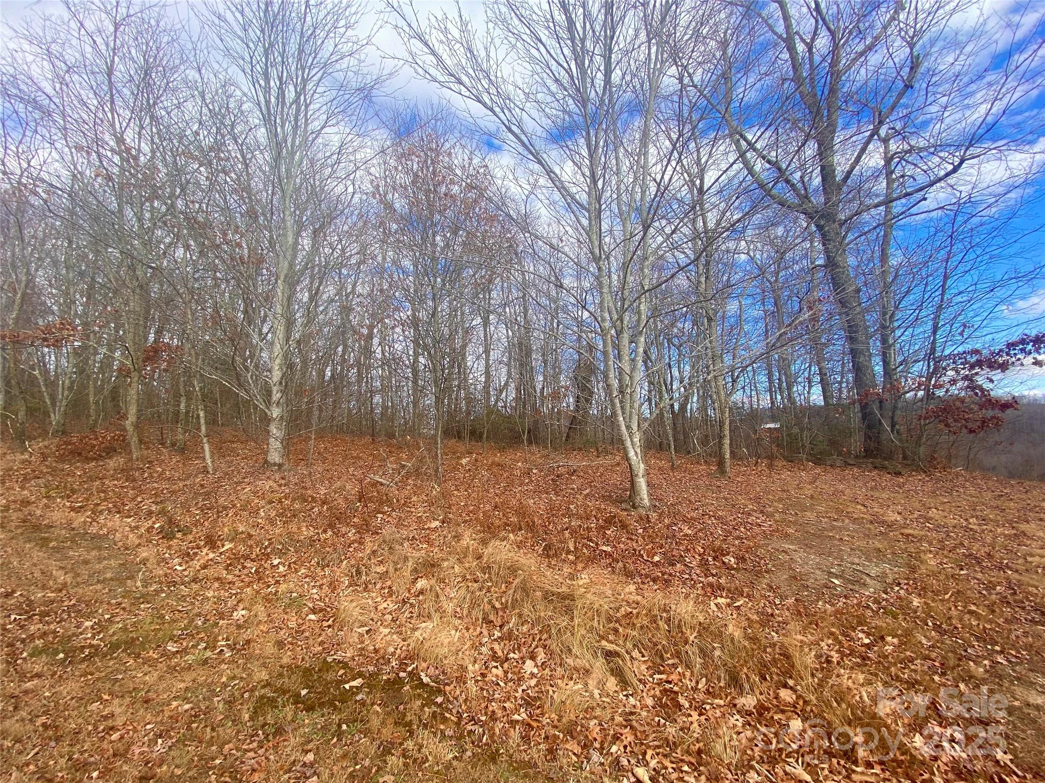 Lot 37 Skyline Road 37 Property Photo