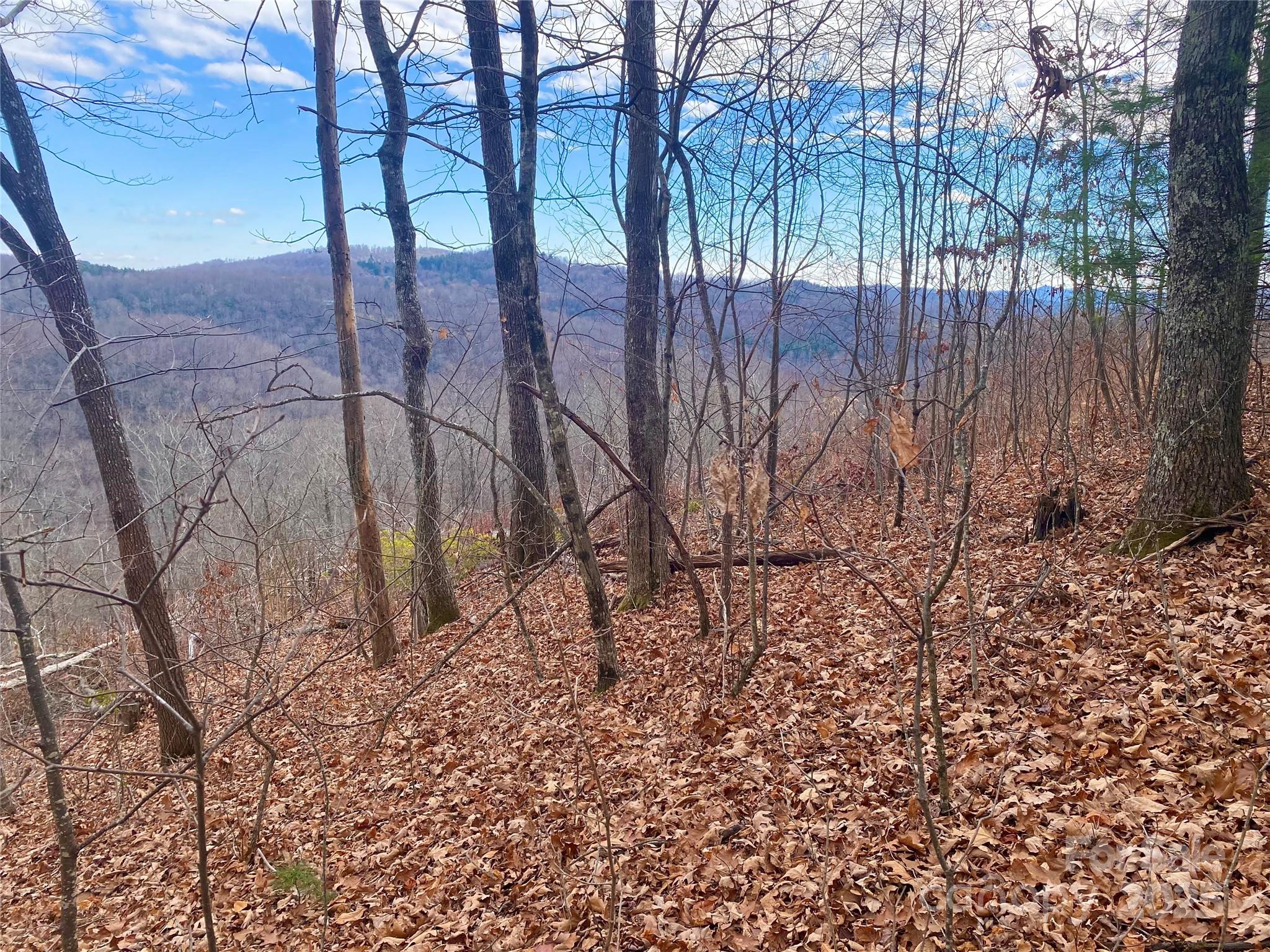 Lot 37 Skyline Road 37 Property Photo 1